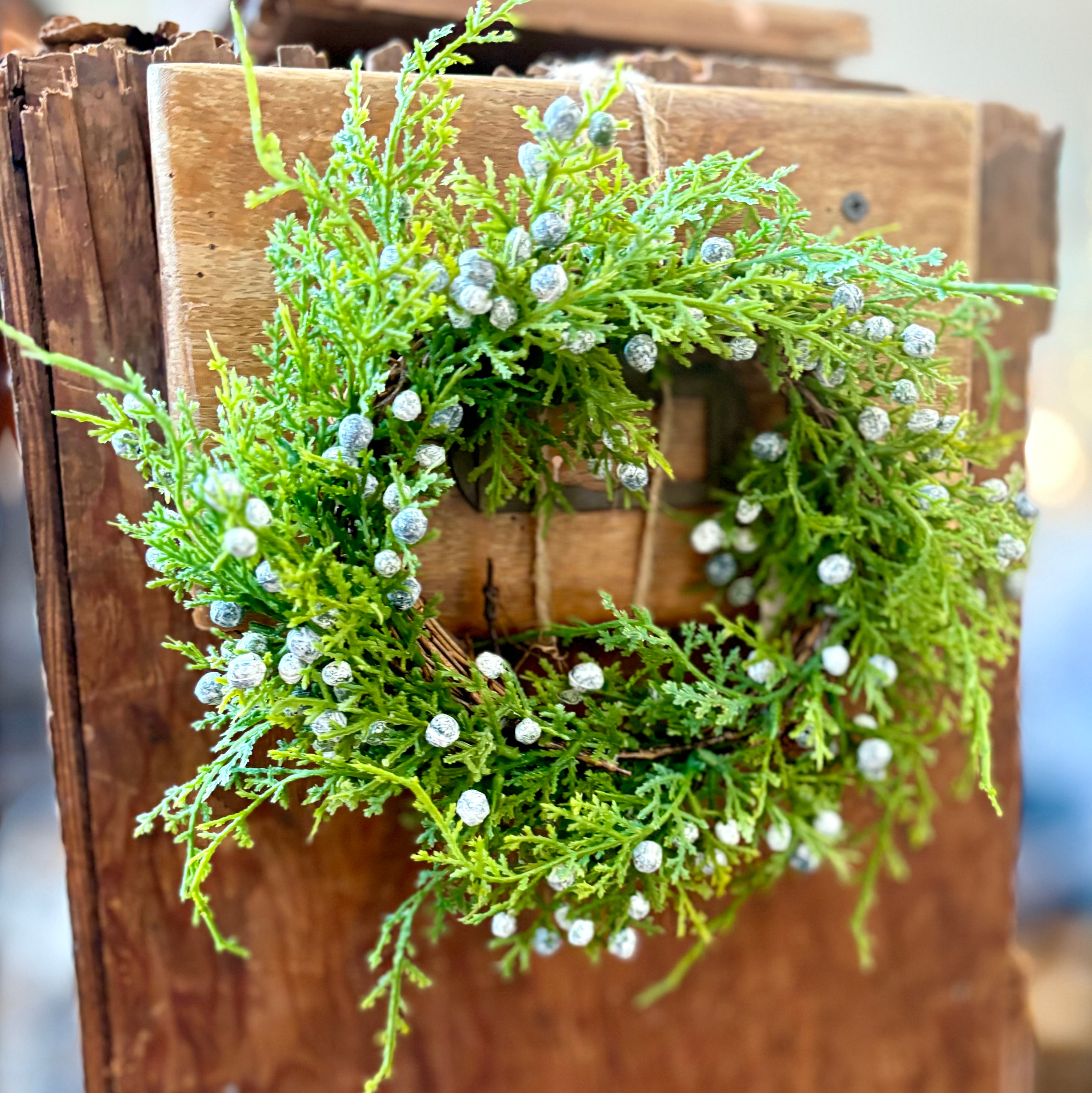 8"D Seeding Juniper Wreath