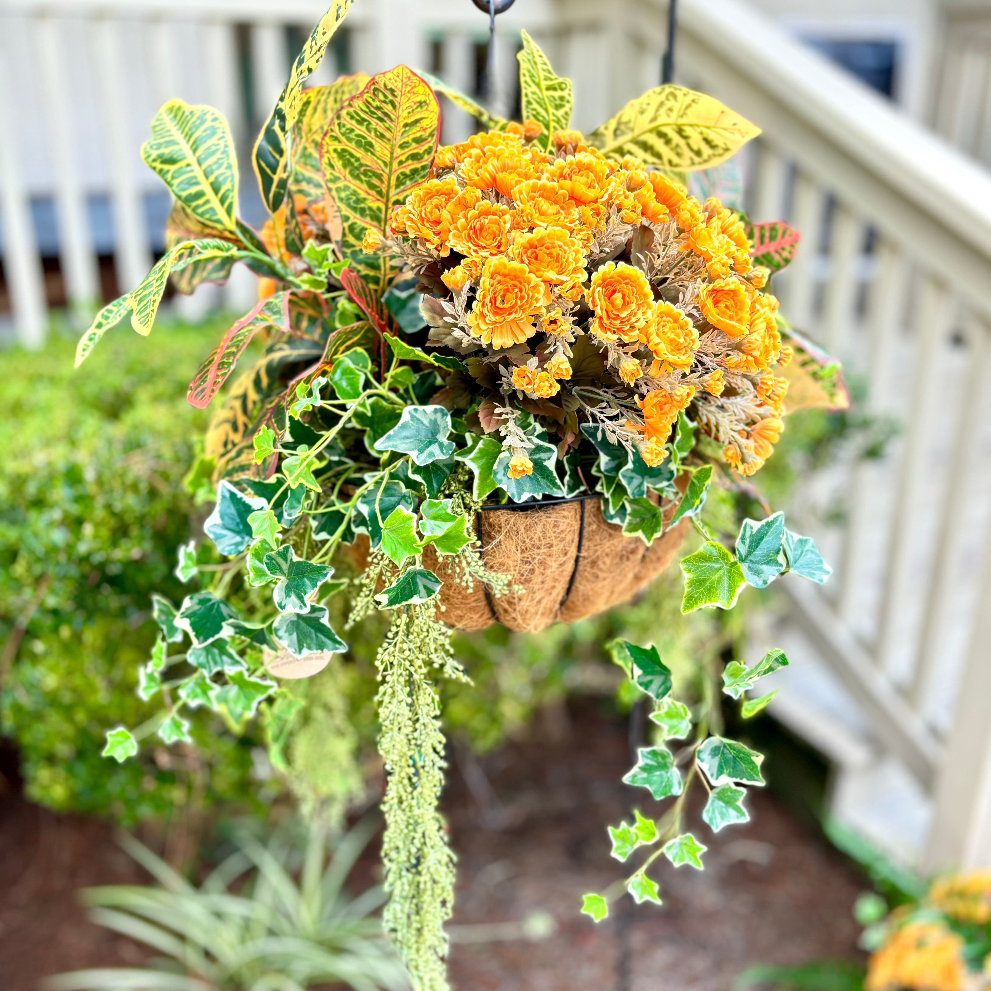 Autumn Hanging Basket with Croton and Ivy