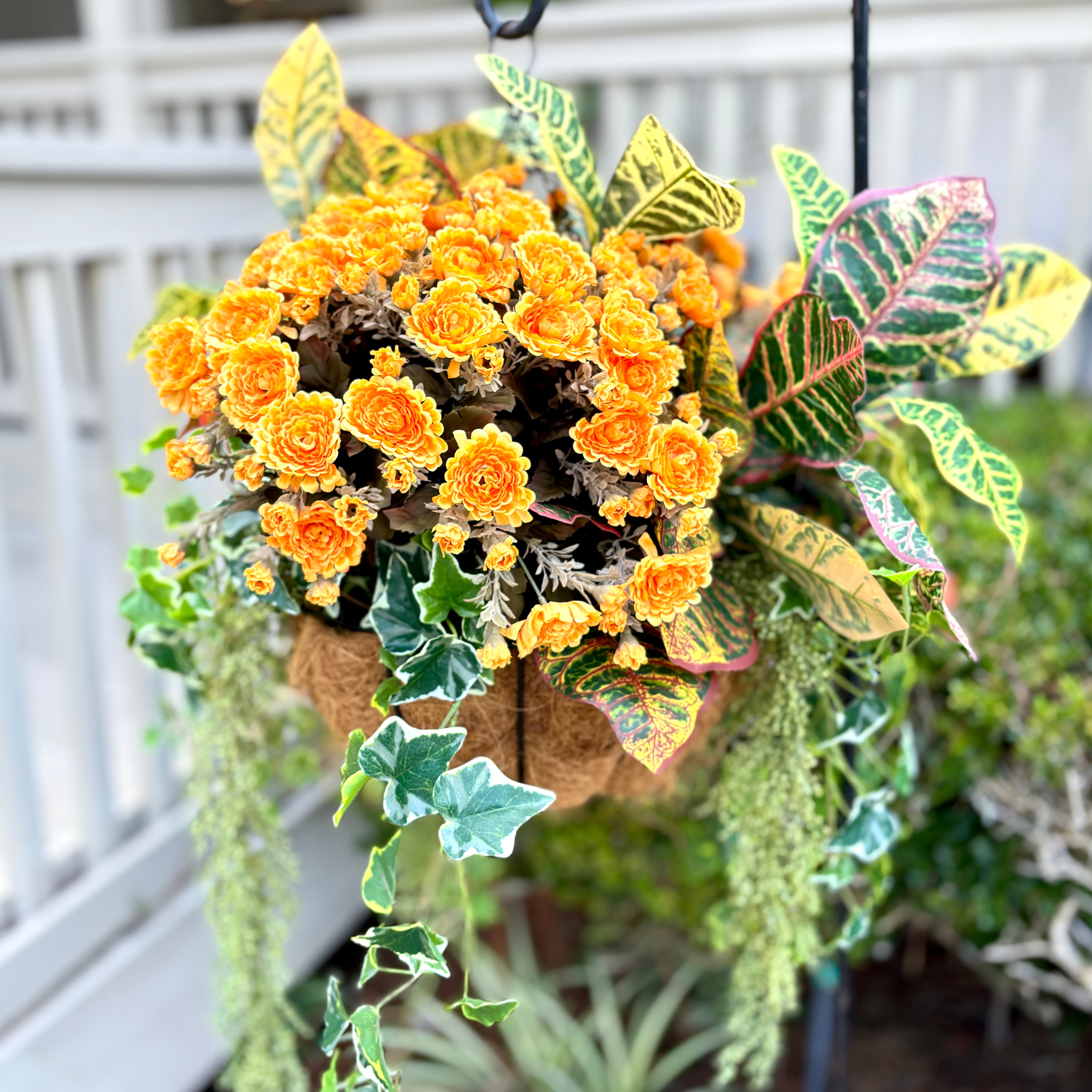 Autumn Hanging Basket with Croton and Ivy