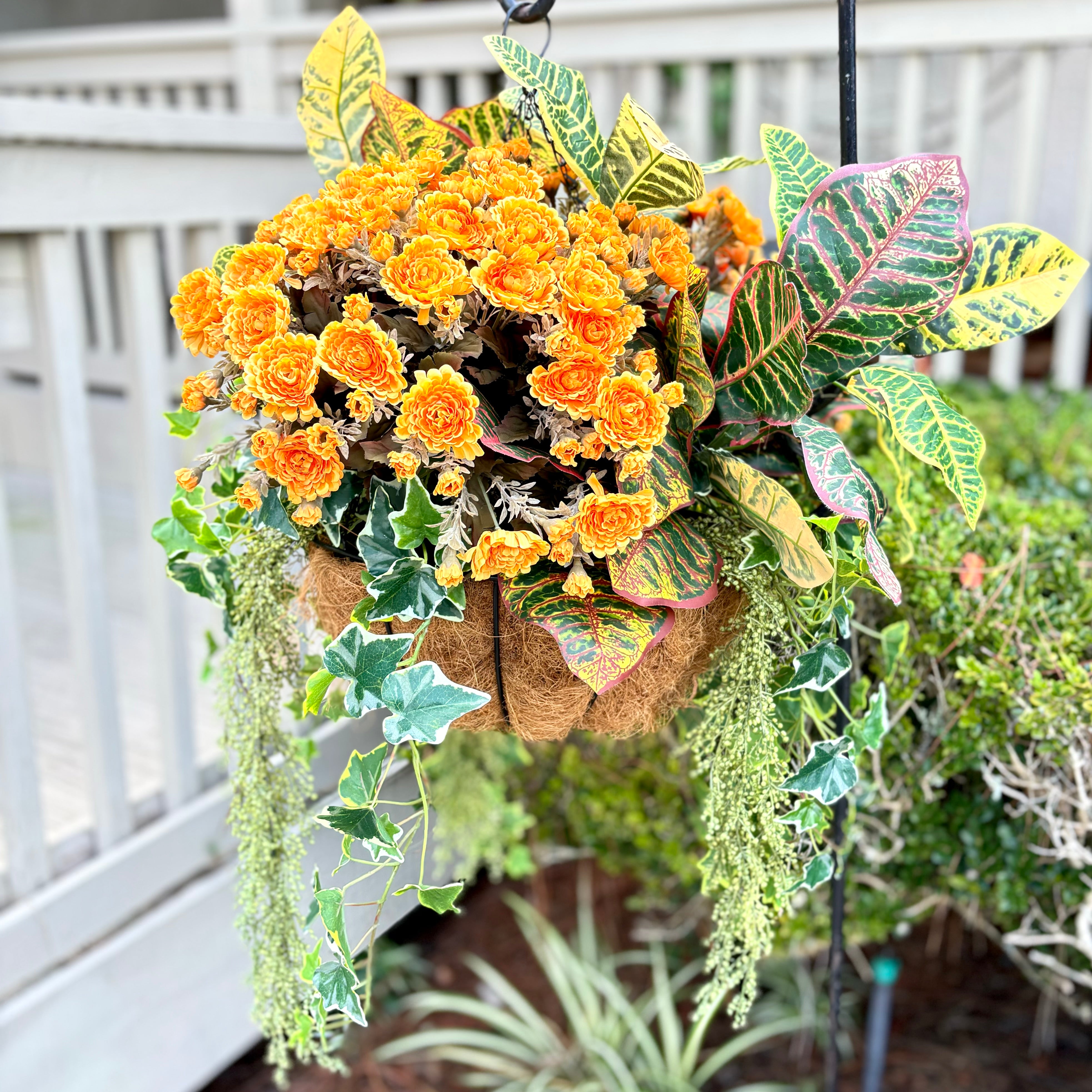 Autumn Hanging Basket with Croton and Ivy