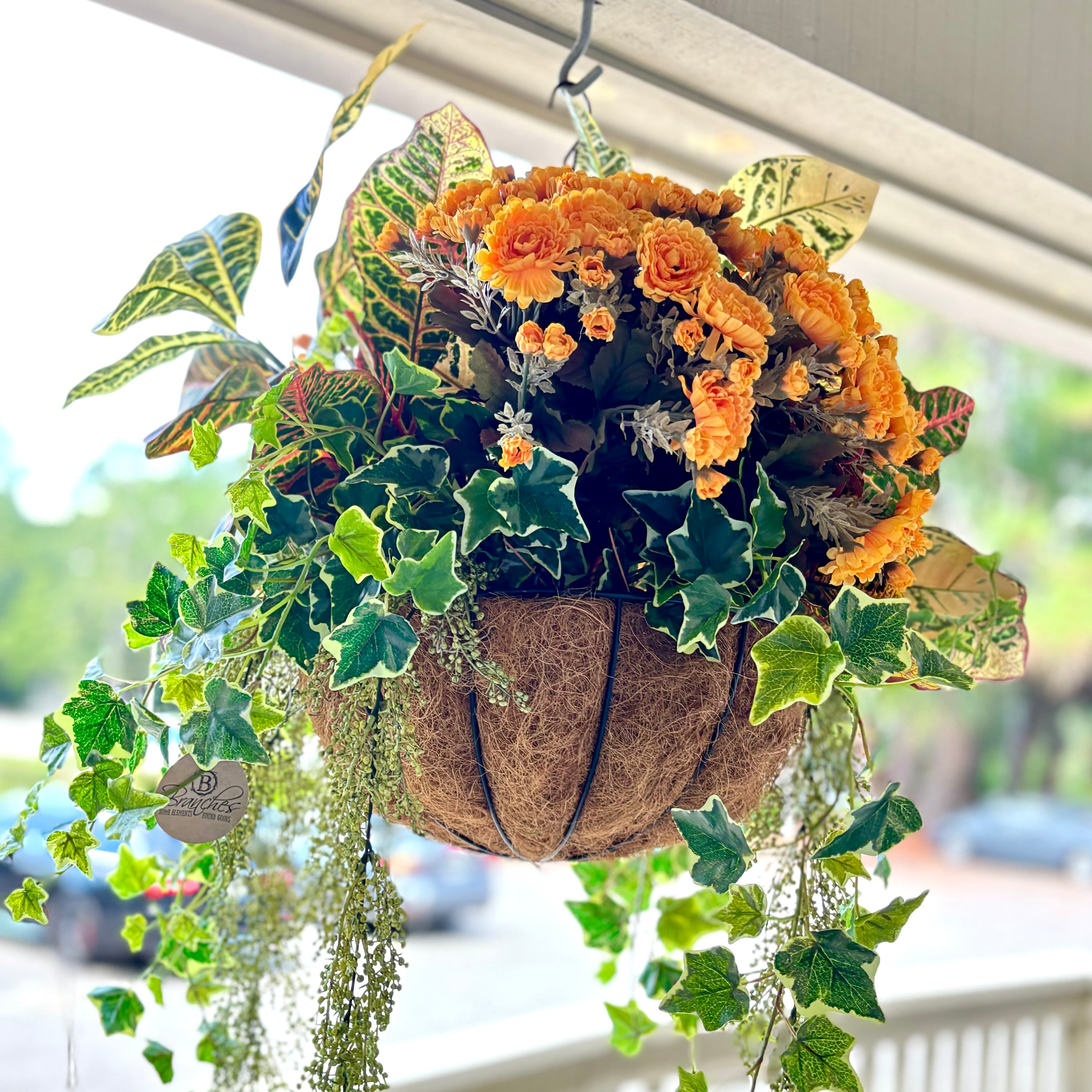 Autumn Hanging Basket with Croton and Ivy