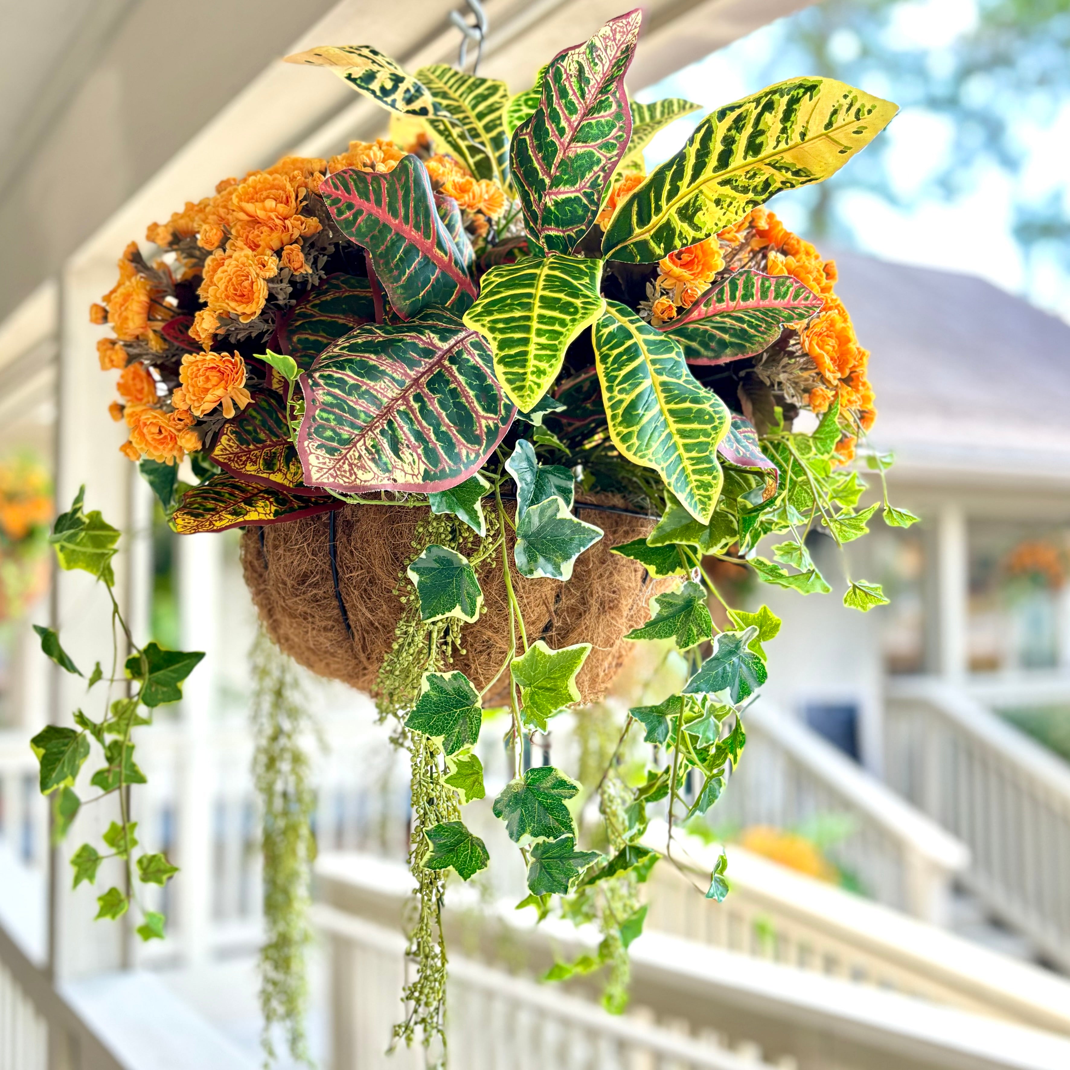 Autumn Hanging Basket with Croton and Ivy