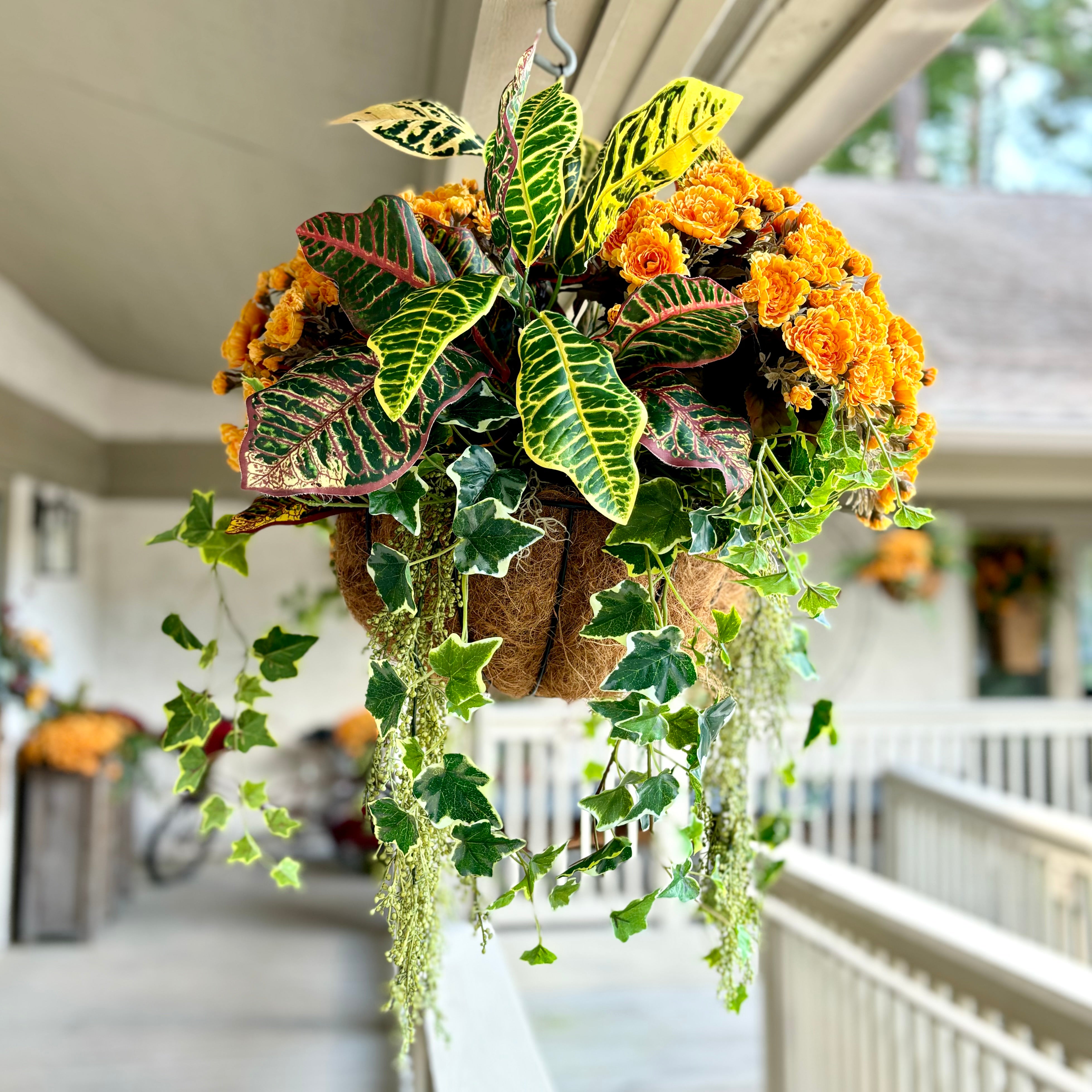 Autumn Hanging Basket with Croton and Ivy