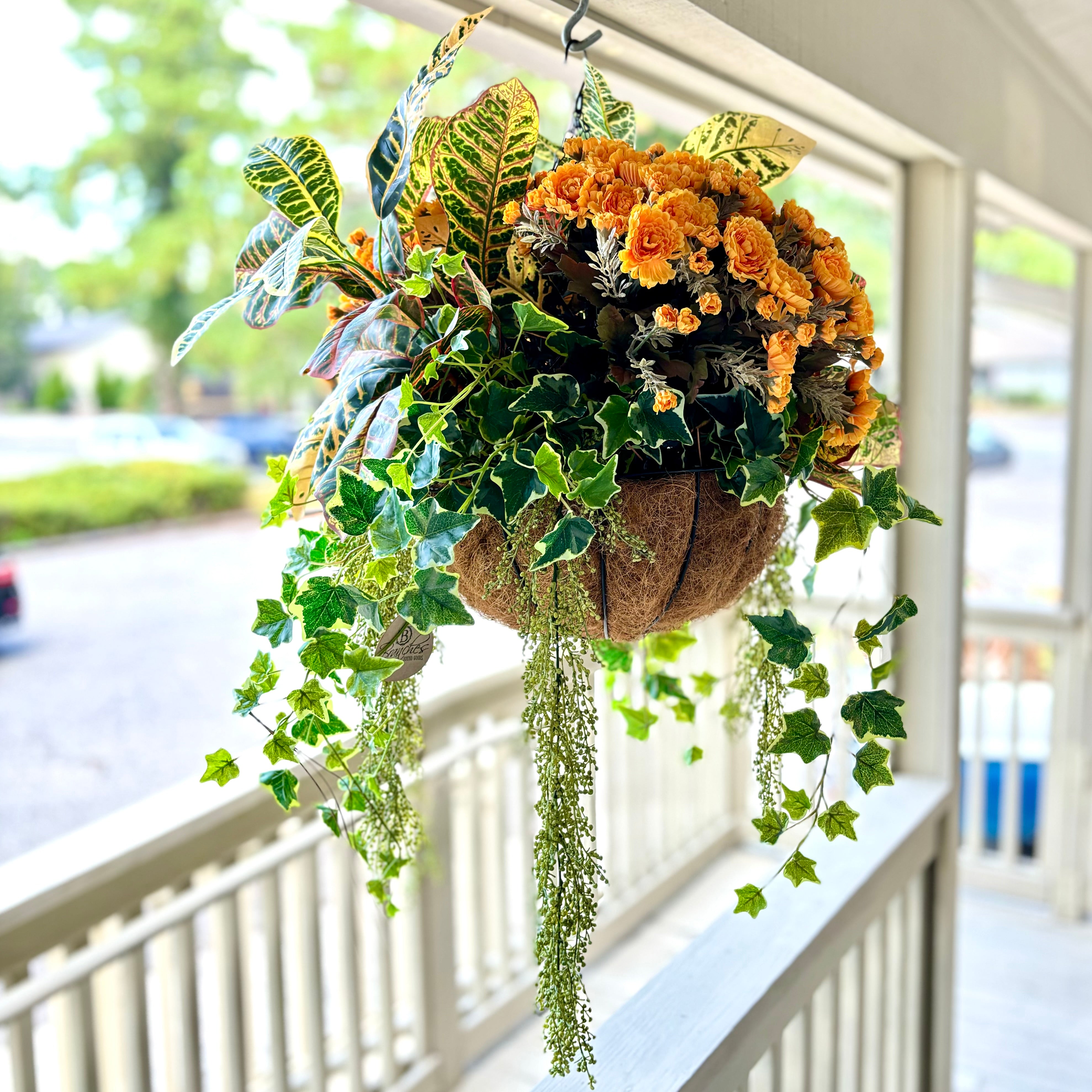 Autumn Hanging Basket with Croton and Ivy