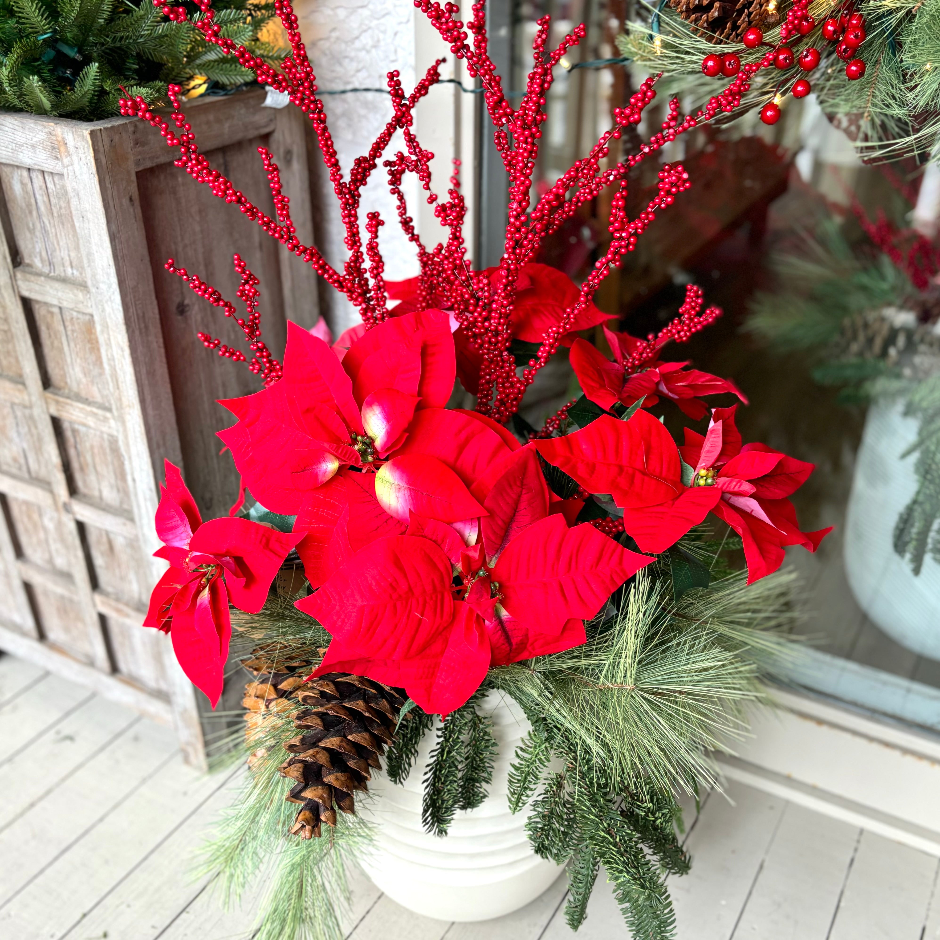 Bountiful Poinsettia Drop In