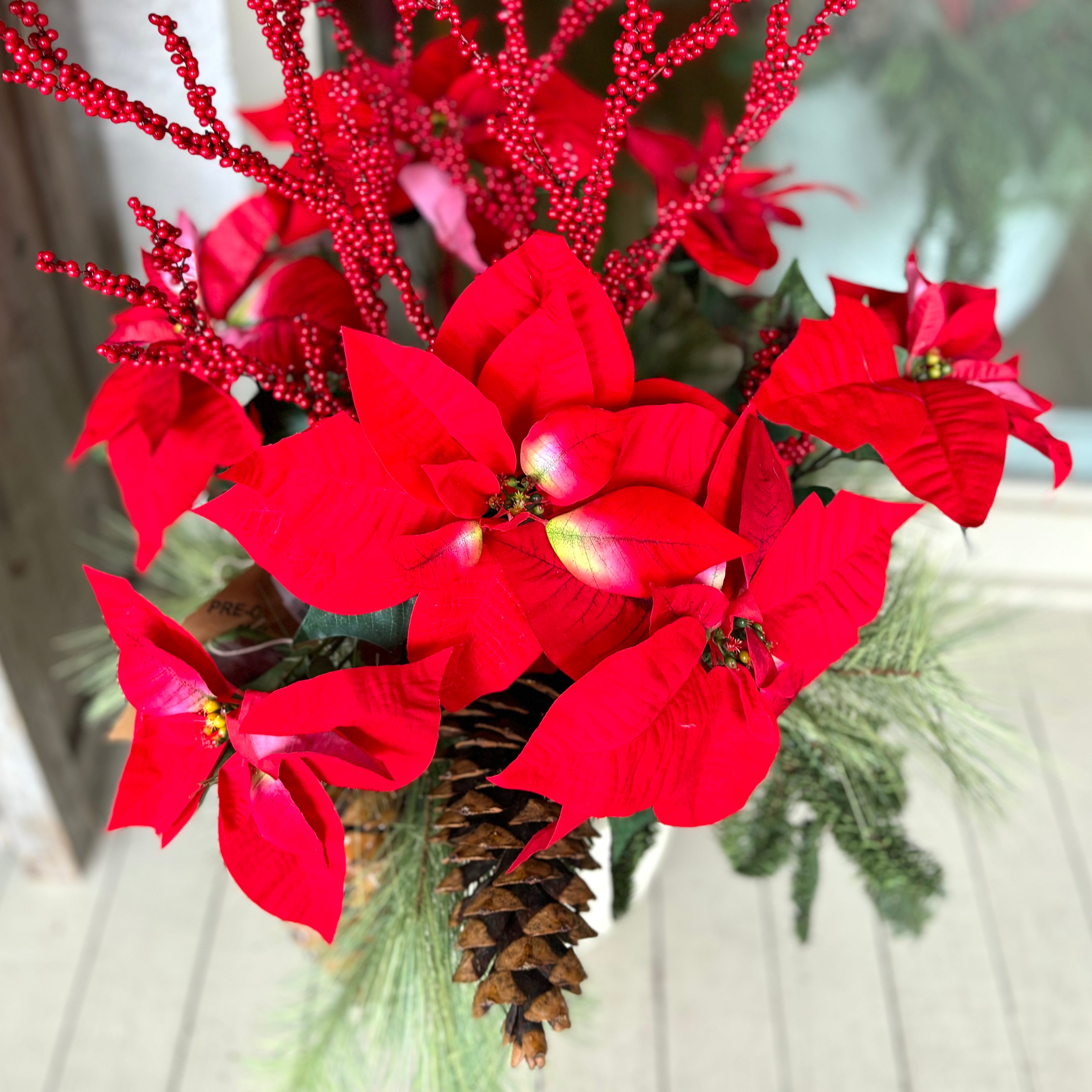 Bountiful Poinsettia Drop In