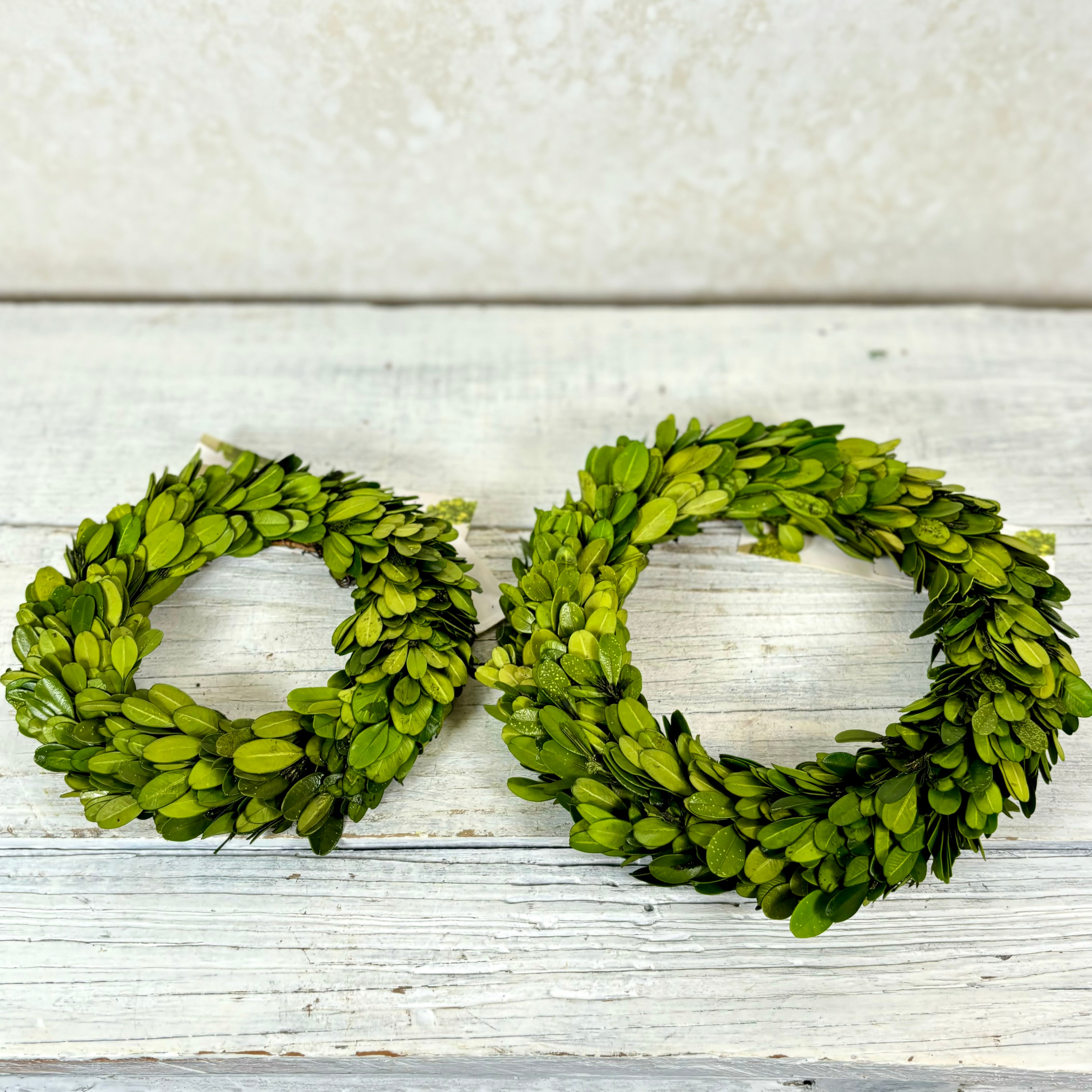 Preserved Boxwood Wreath Small