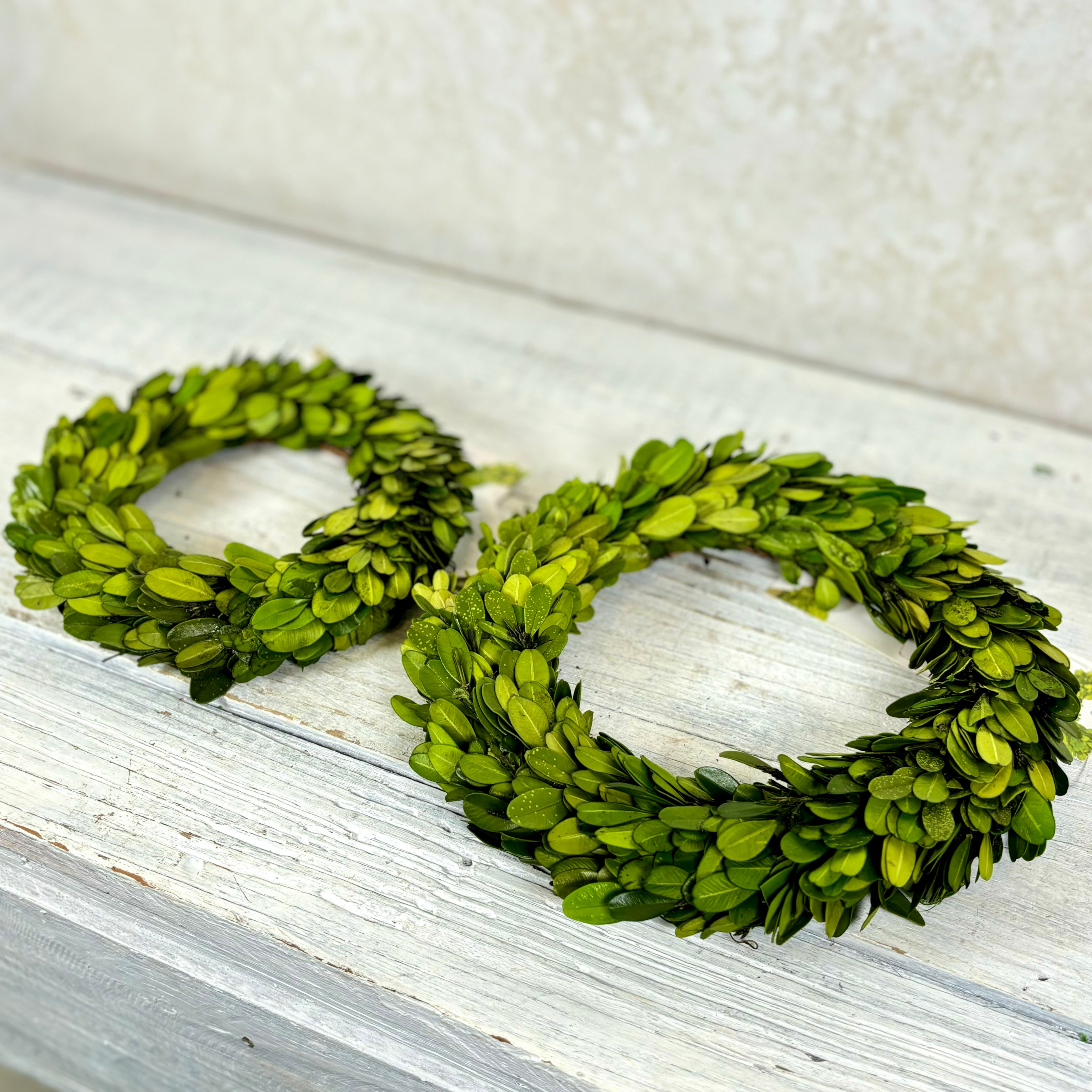 Preserved Boxwood Wreath Small