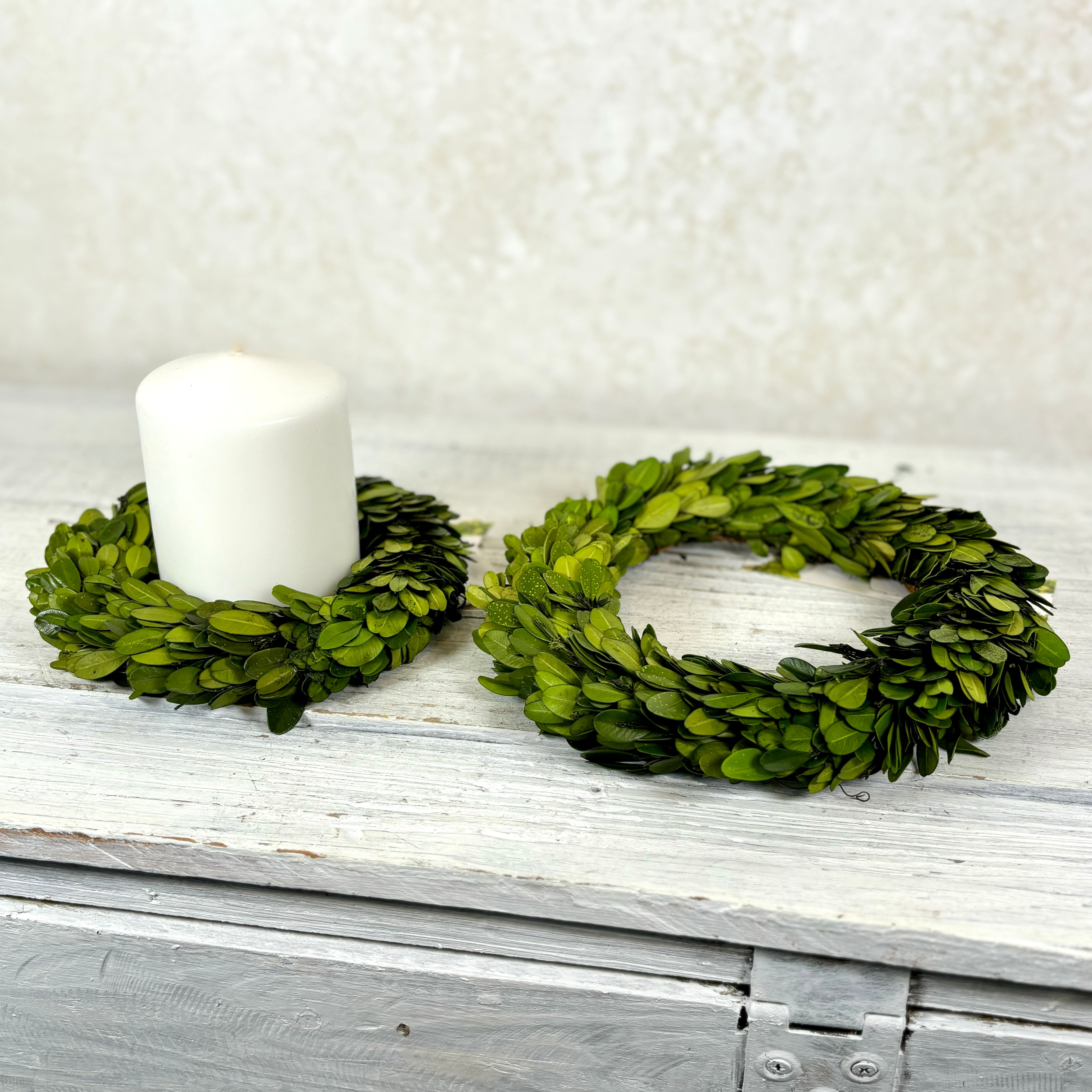 Preserved Boxwood Wreath Small