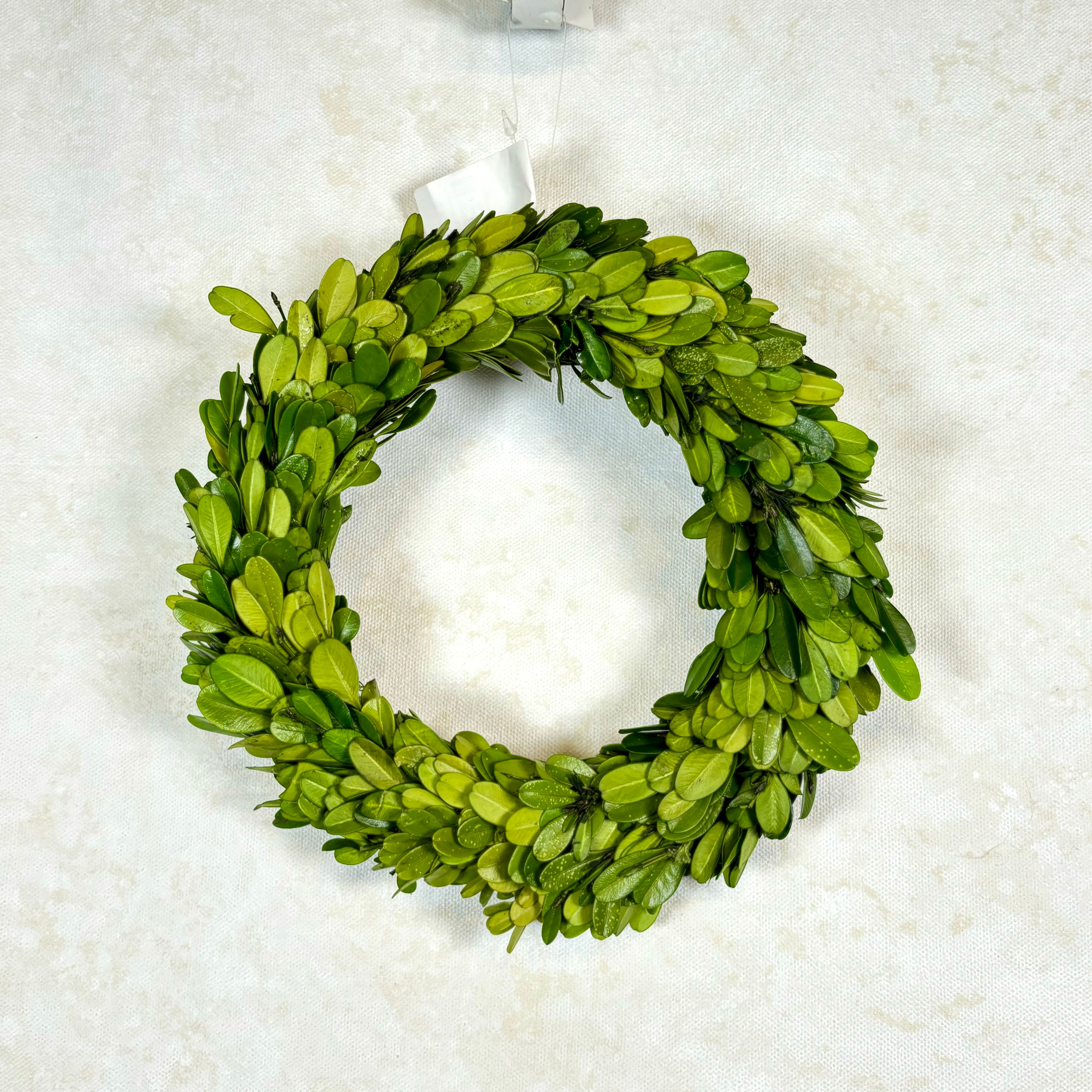 Preserved Boxwood Wreath Large