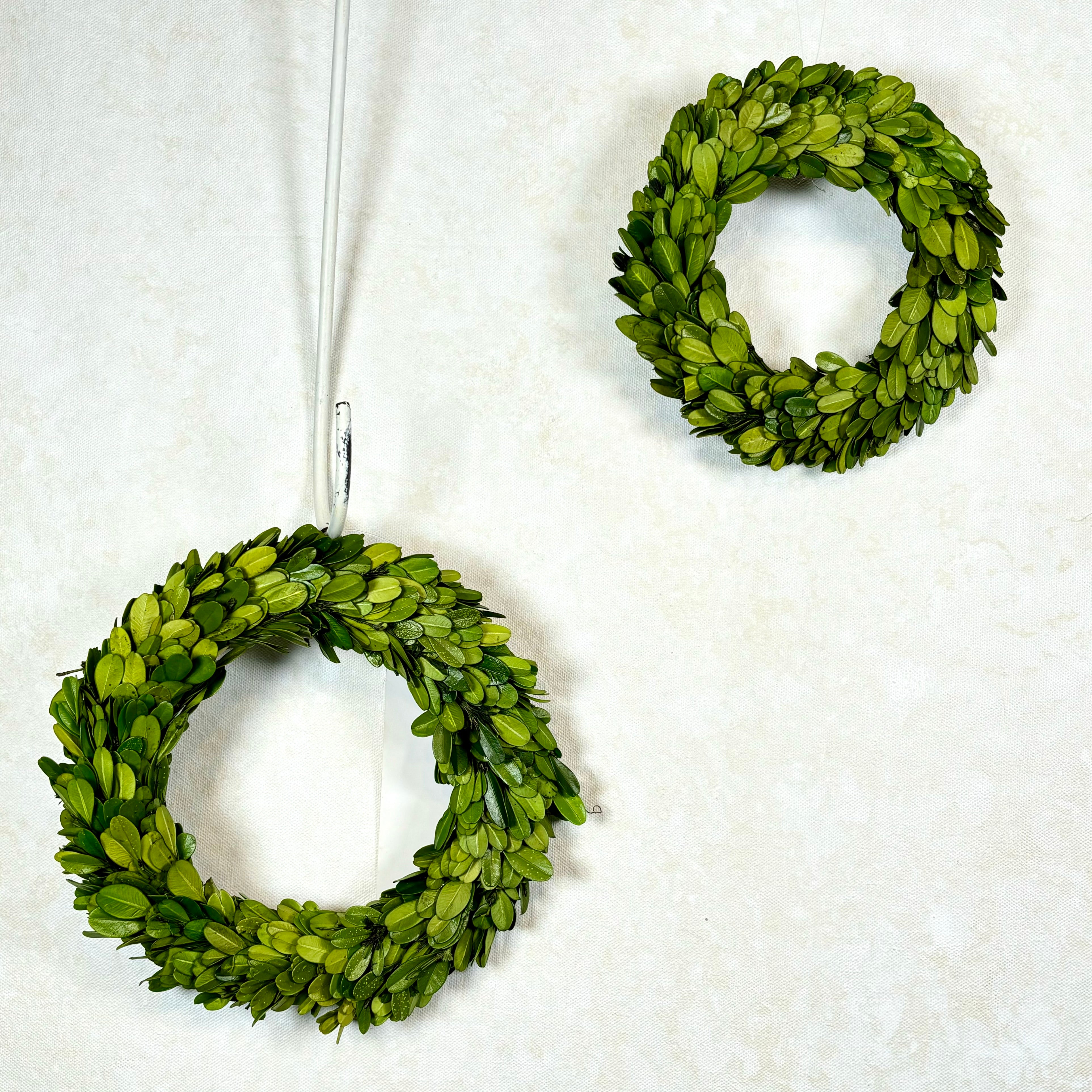 Preserved Boxwood Wreath Small