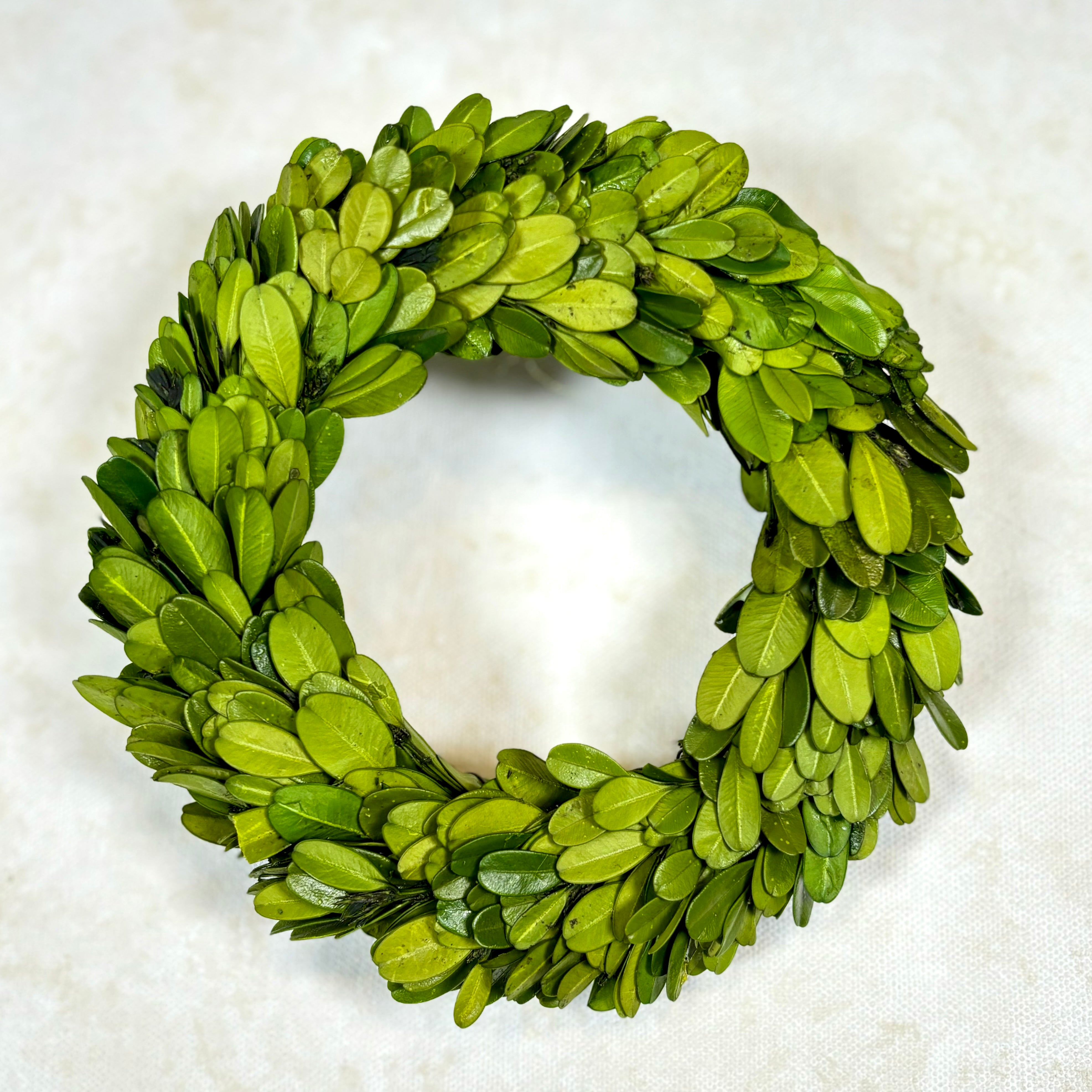 Preserved Boxwood Wreath Small