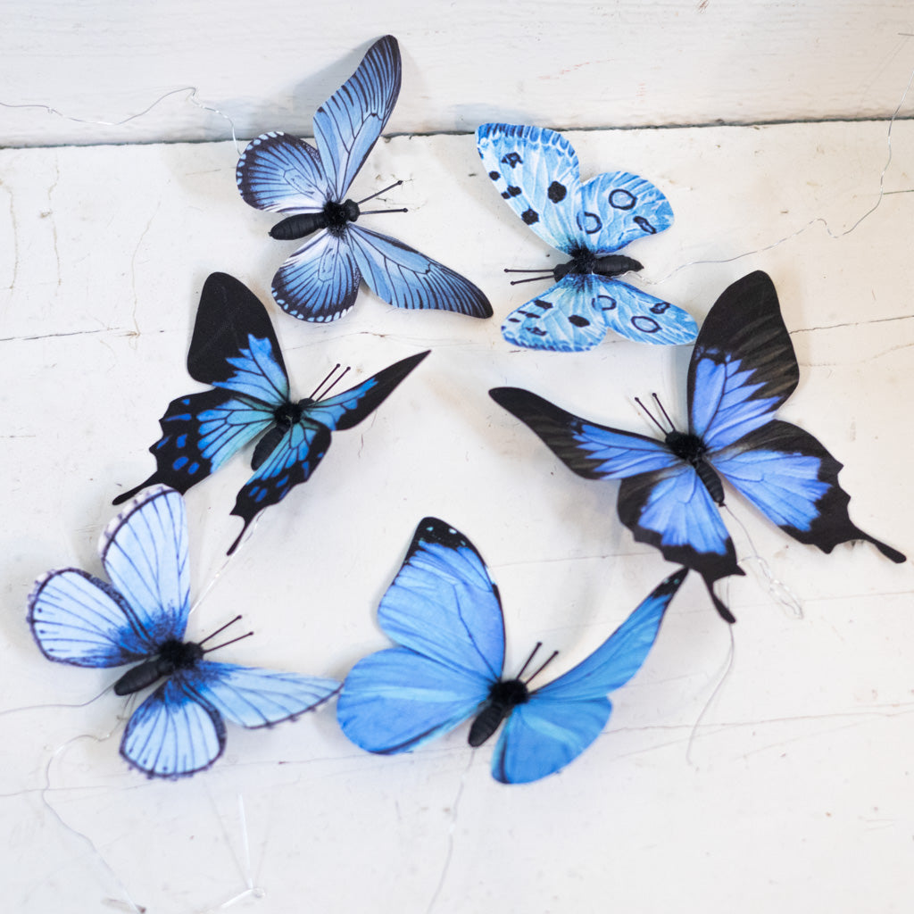 Fabric Blue Butterfly Box of Six