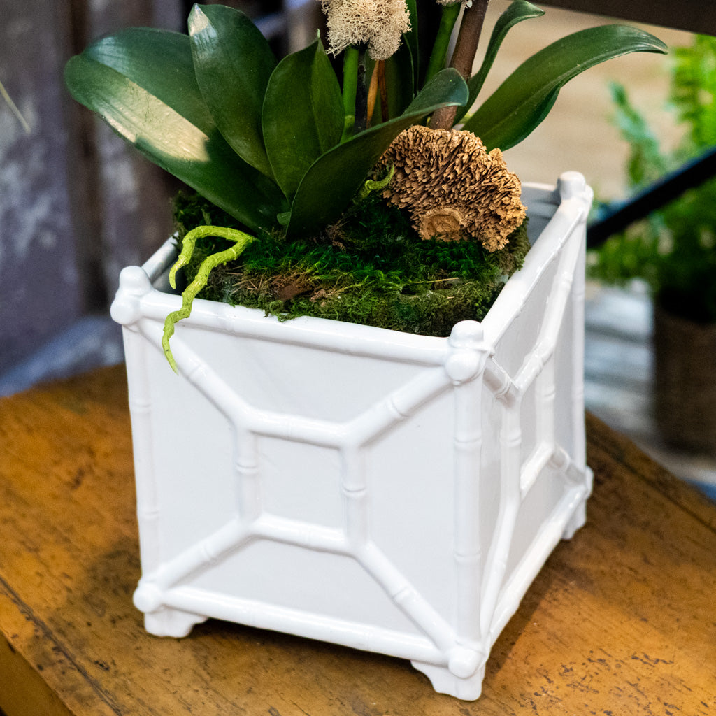 Large White Bamboo Planter