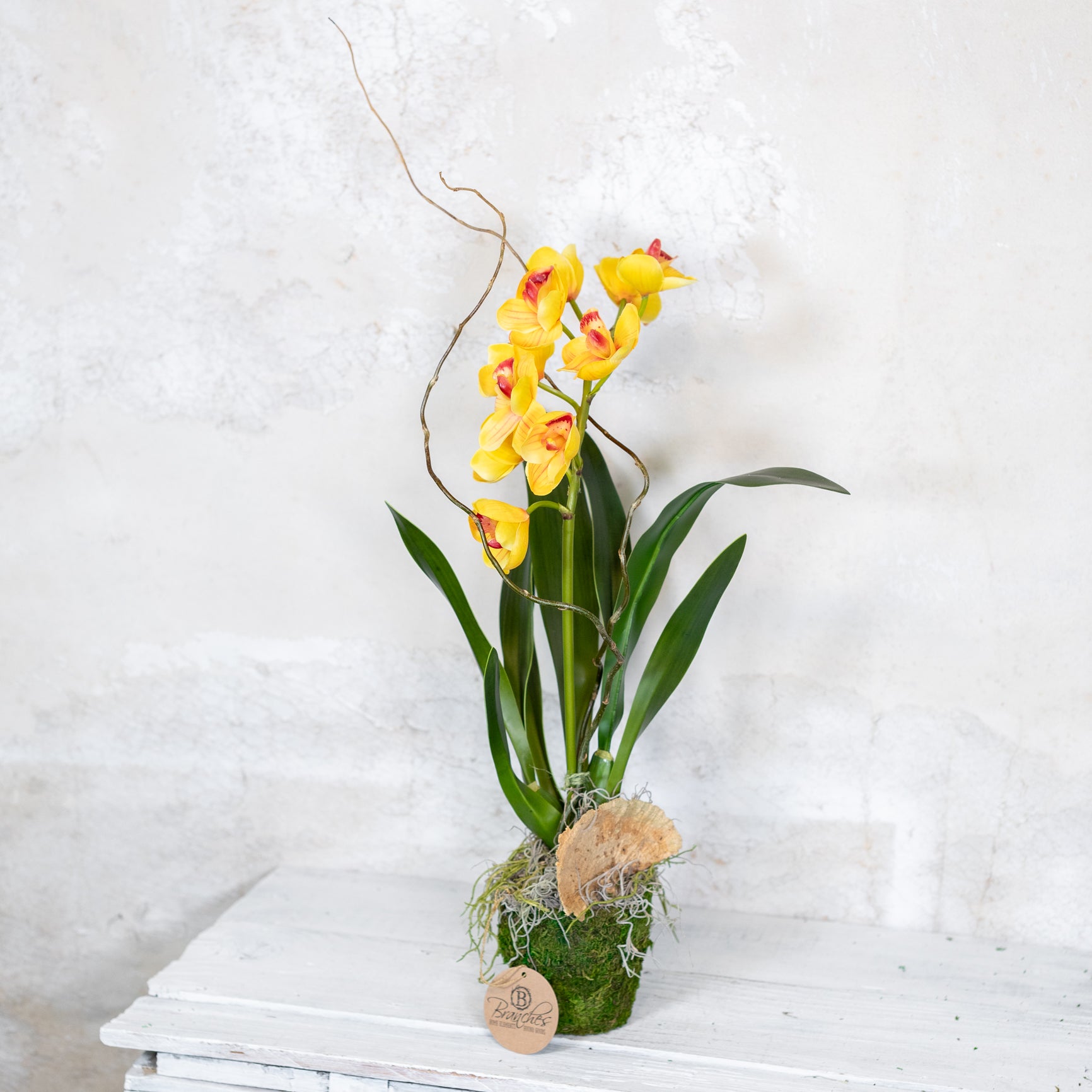 Single Yellow Cymbidium Orchid Drop In