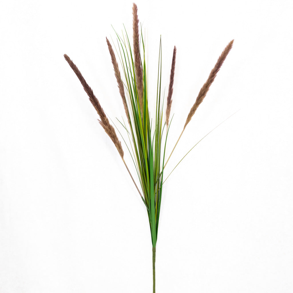 Pampas Plum Spray