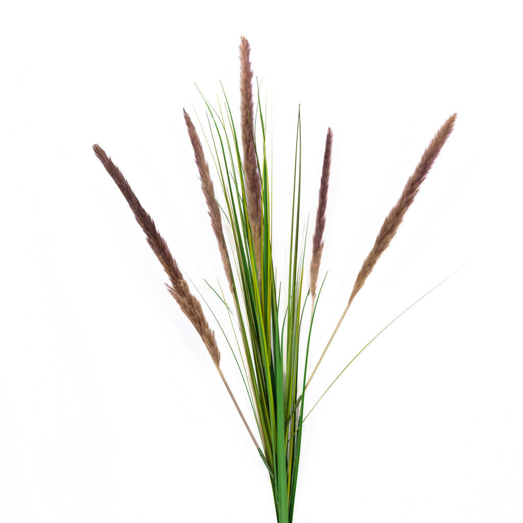 Pampas Plum Spray