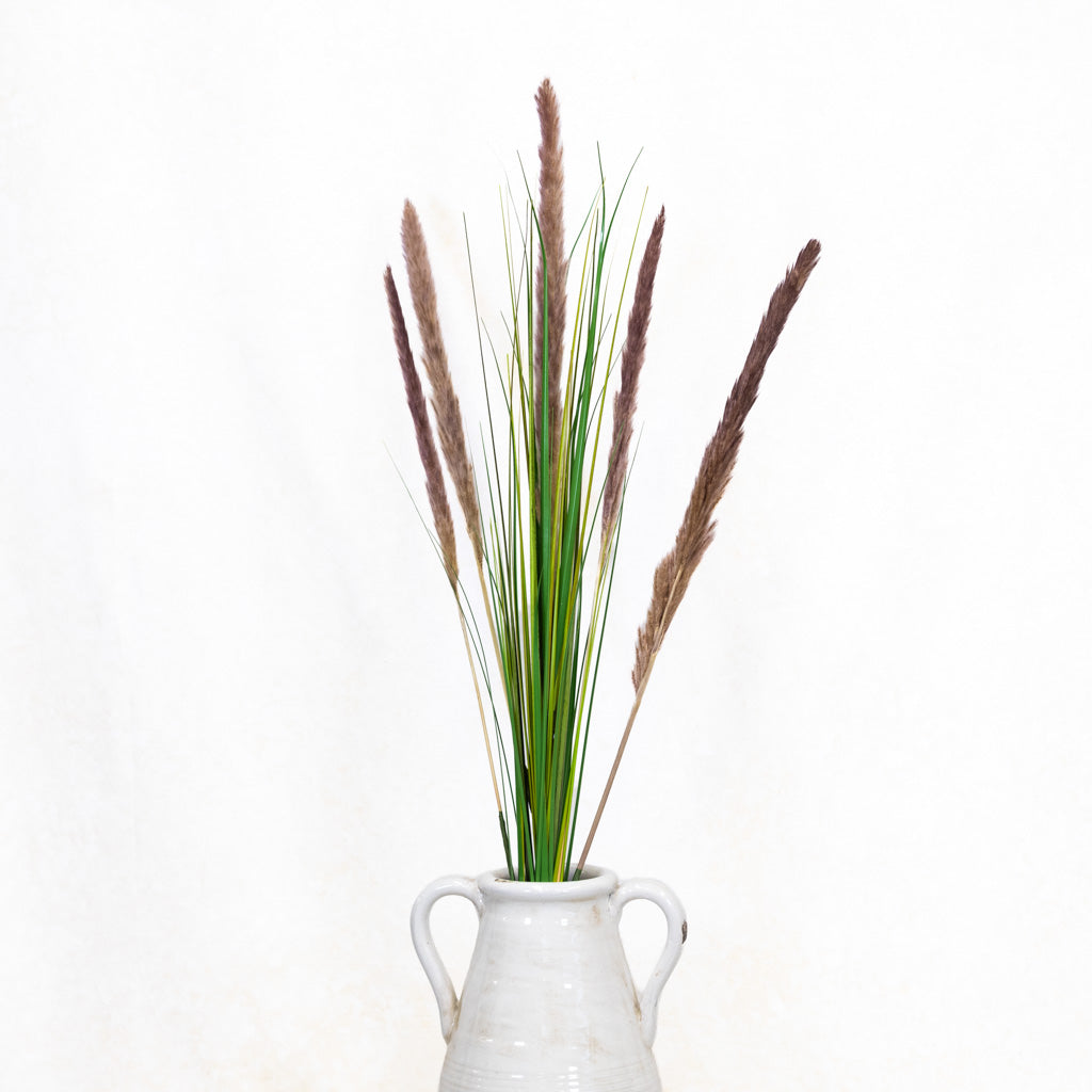 Pampas Plum Spray