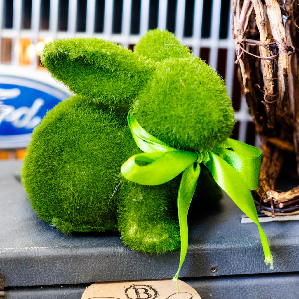 Happy the Moss Rabbit