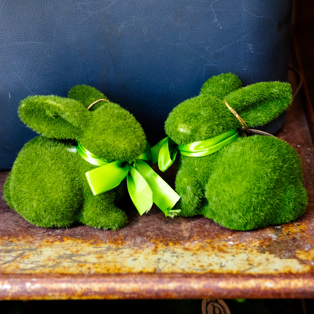 Happy the Moss Rabbit