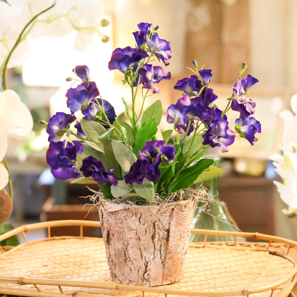 Purple Pansy in Birch Pot