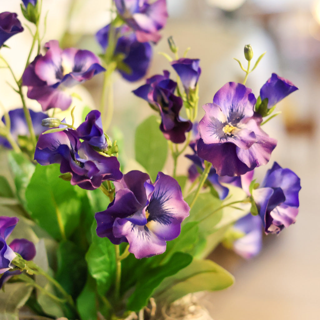 Purple Pansy in Birch Pot