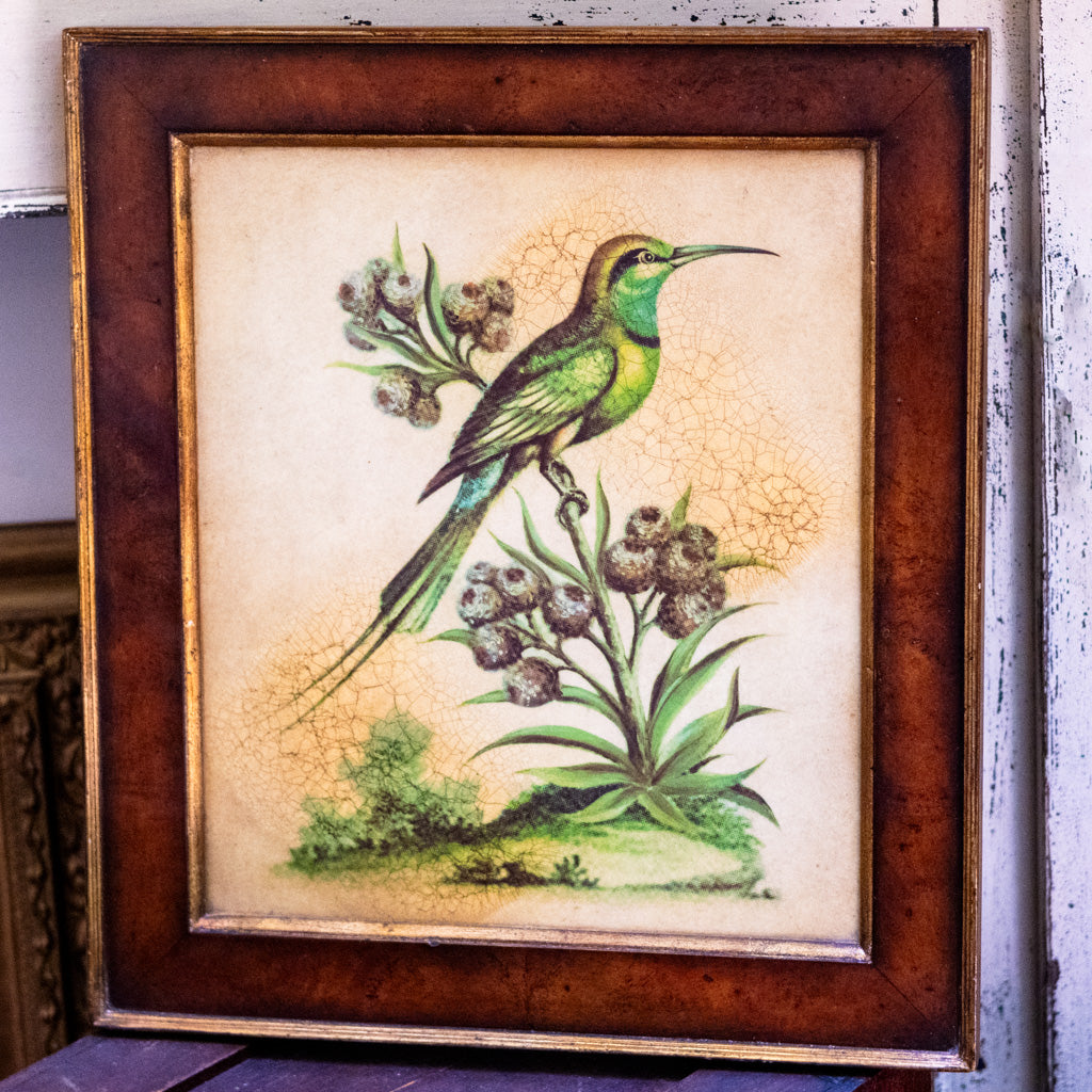 Hummingbird Framed Art