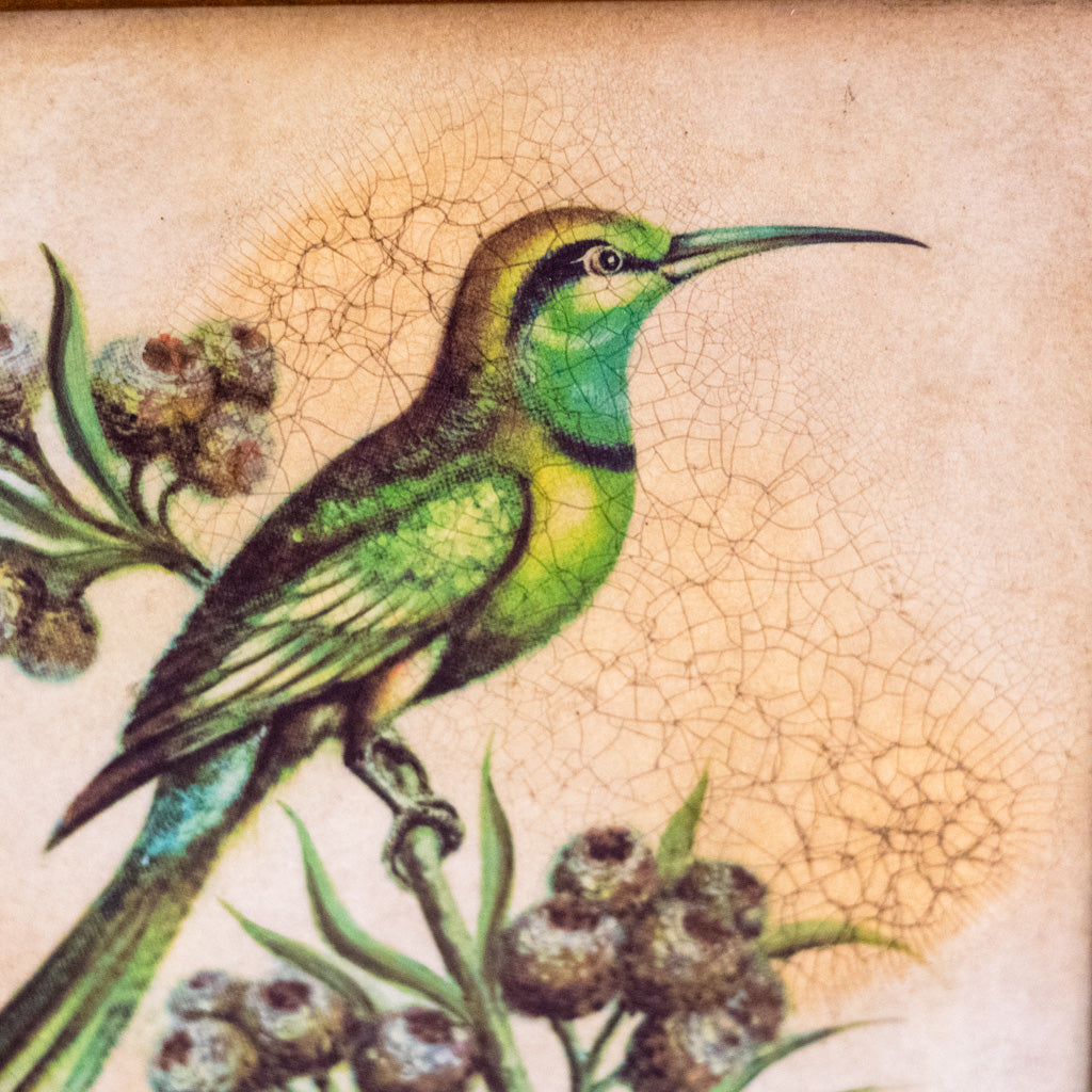 Hummingbird Framed Art