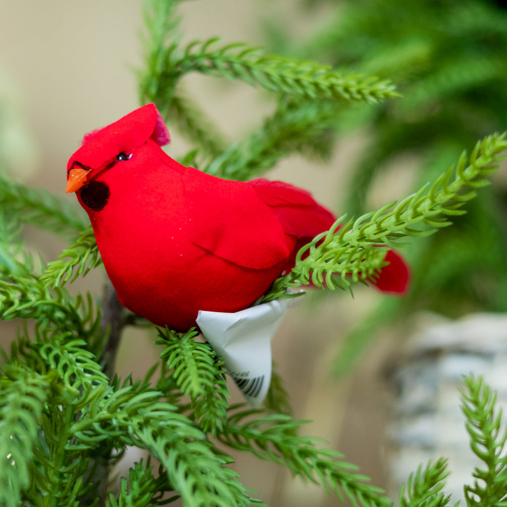Velvet Feather Red Cardinal Clip Ornament