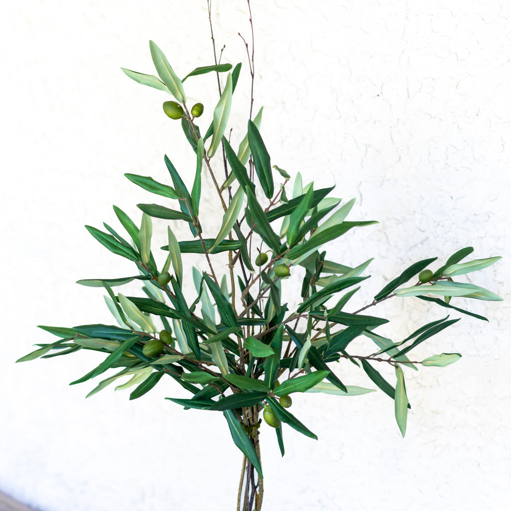 Olive Topiary