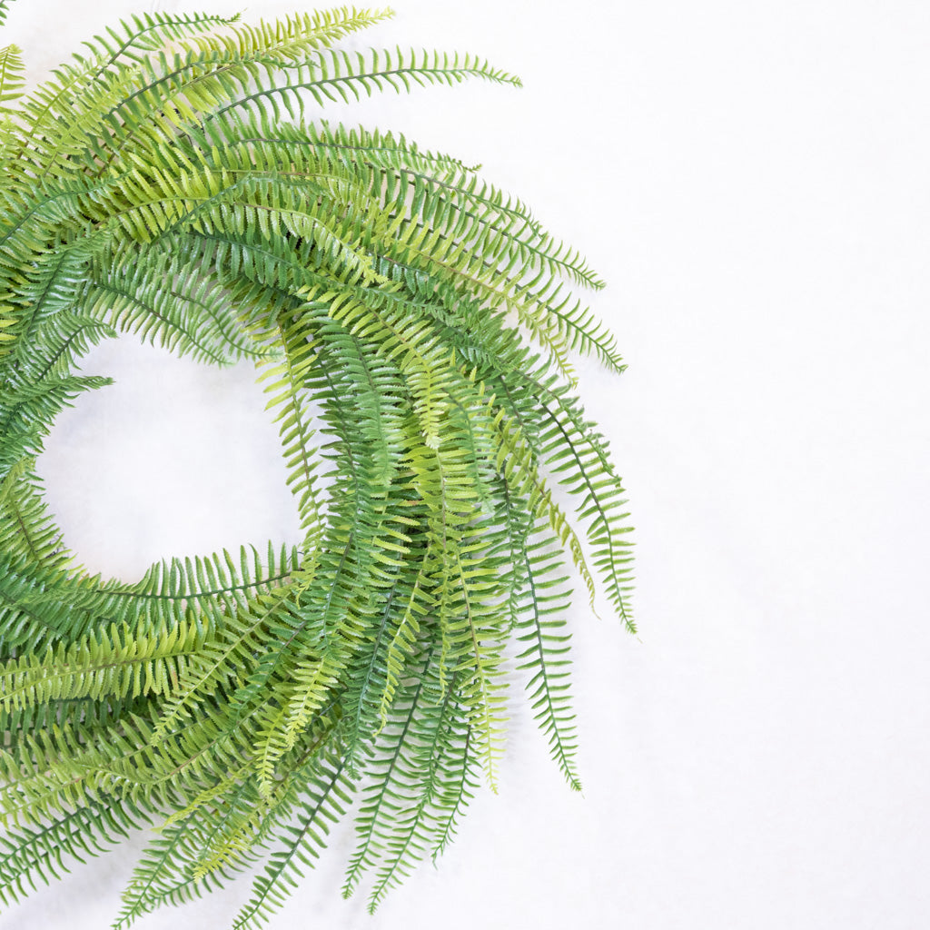 Fern Wreath on Vine Base