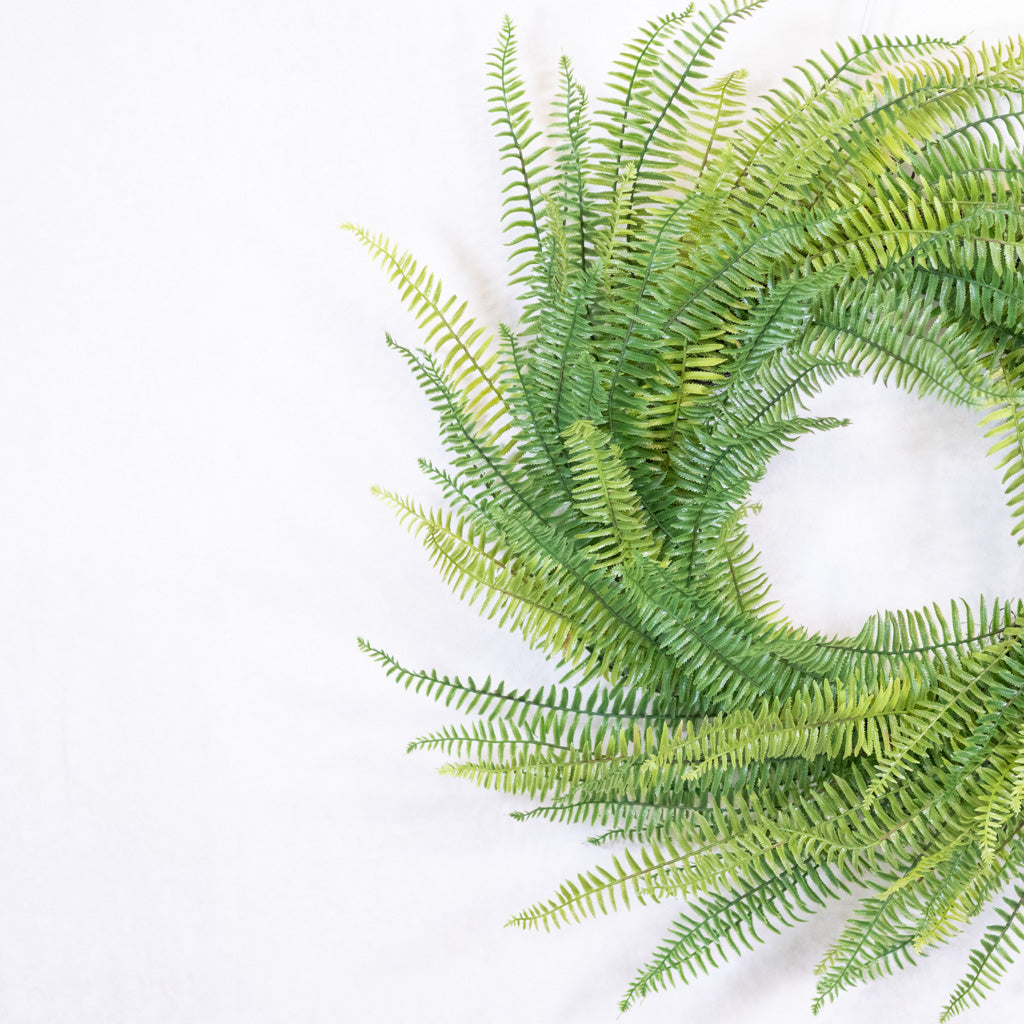 Fern Wreath on Vine Base