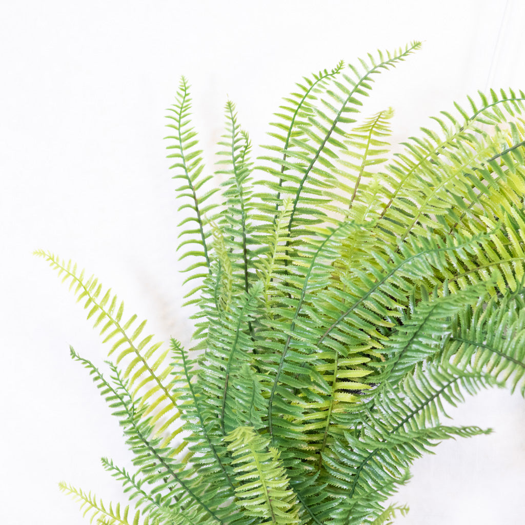 Fern Wreath on Vine Base