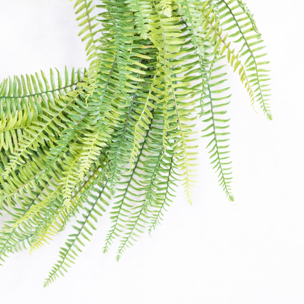 Fern Wreath on Vine Base