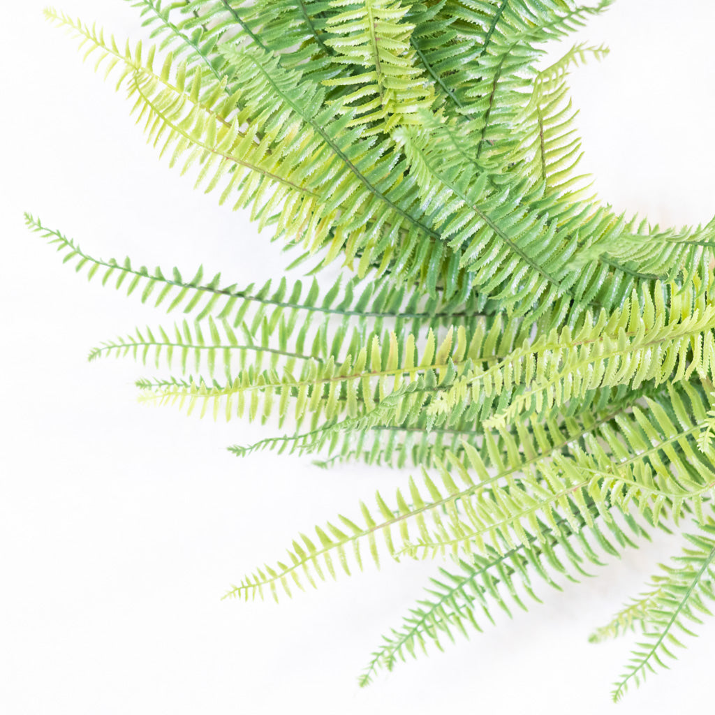 Fern Wreath on Vine Base