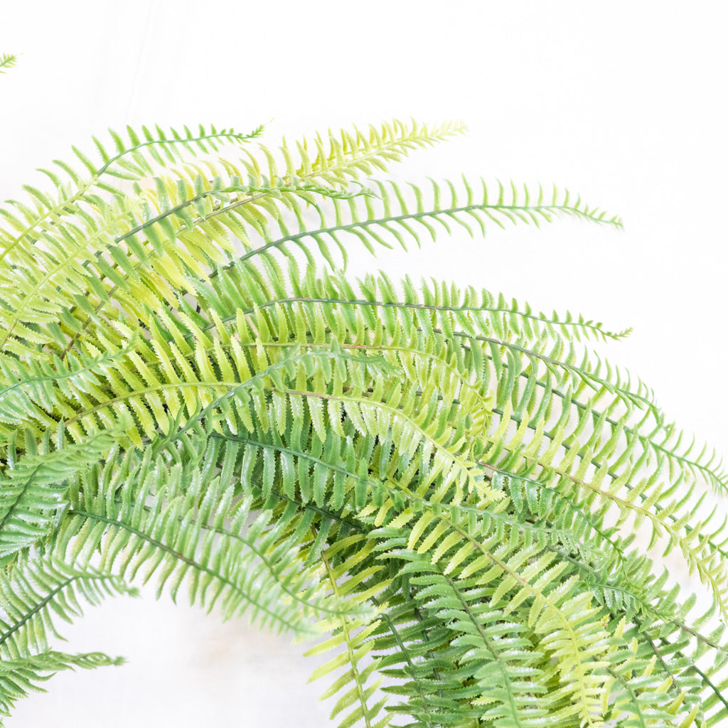 Fern Wreath on Vine Base