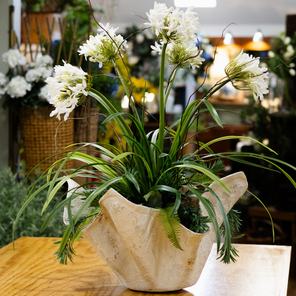 Deluxe Agapanthus Drop-in