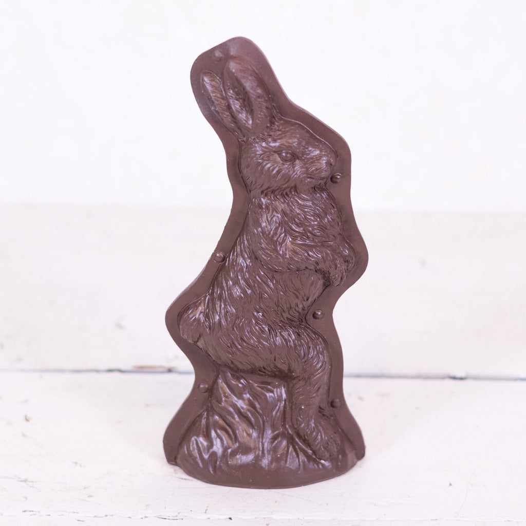 Resin Chocolate Mold Walking Bunny