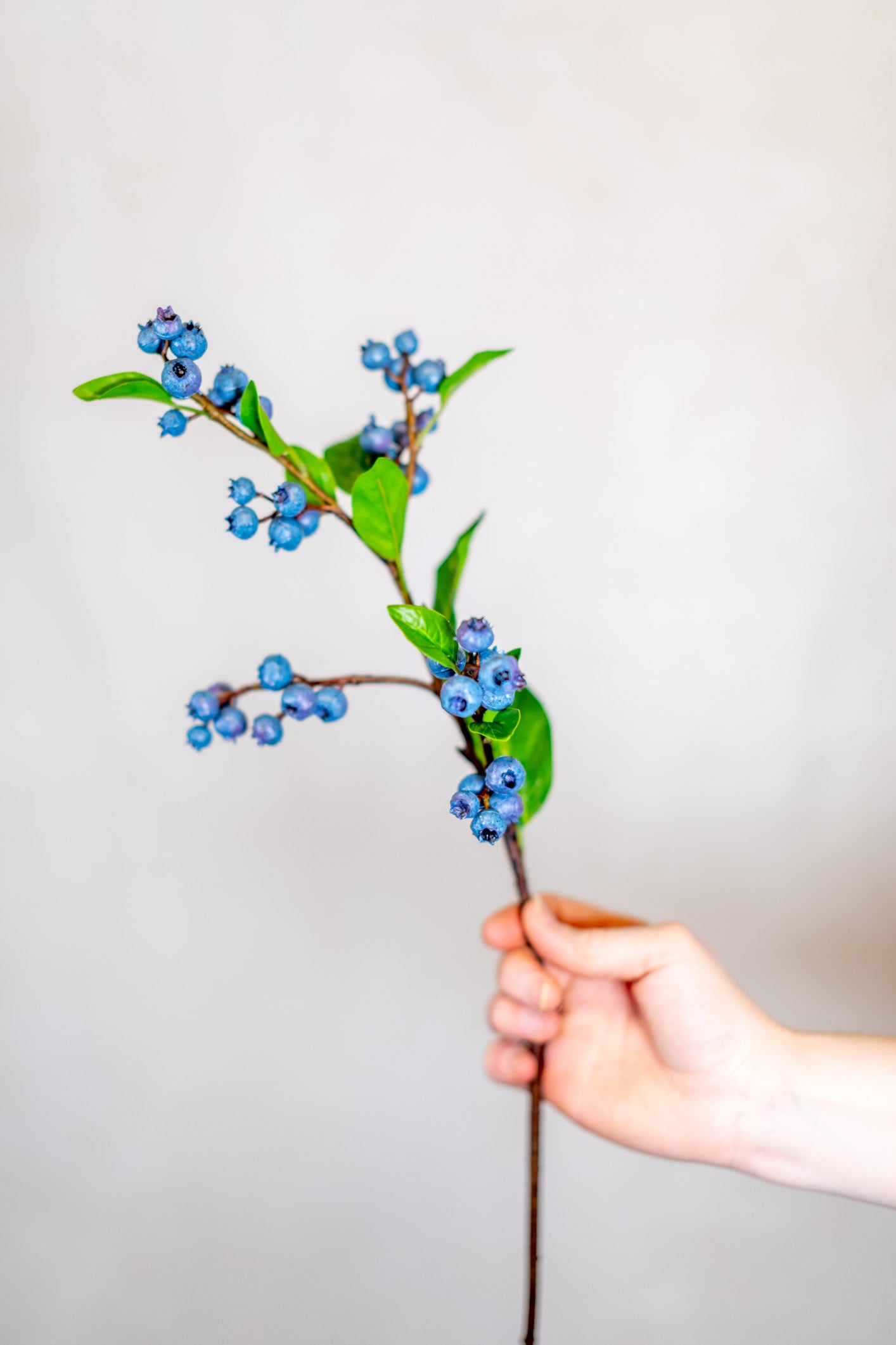 Blueberry Spray Stem