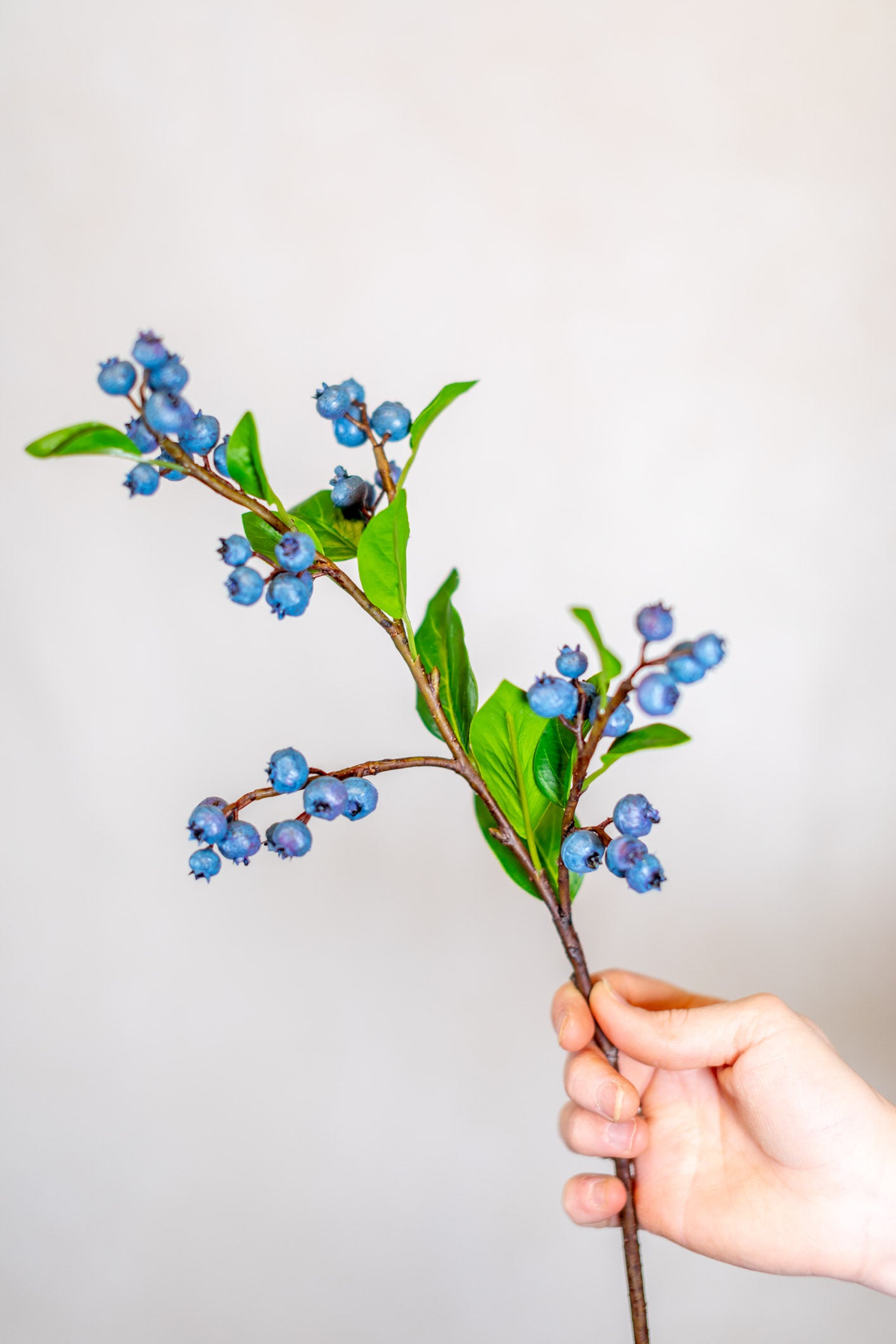 Blueberry Spray Stem