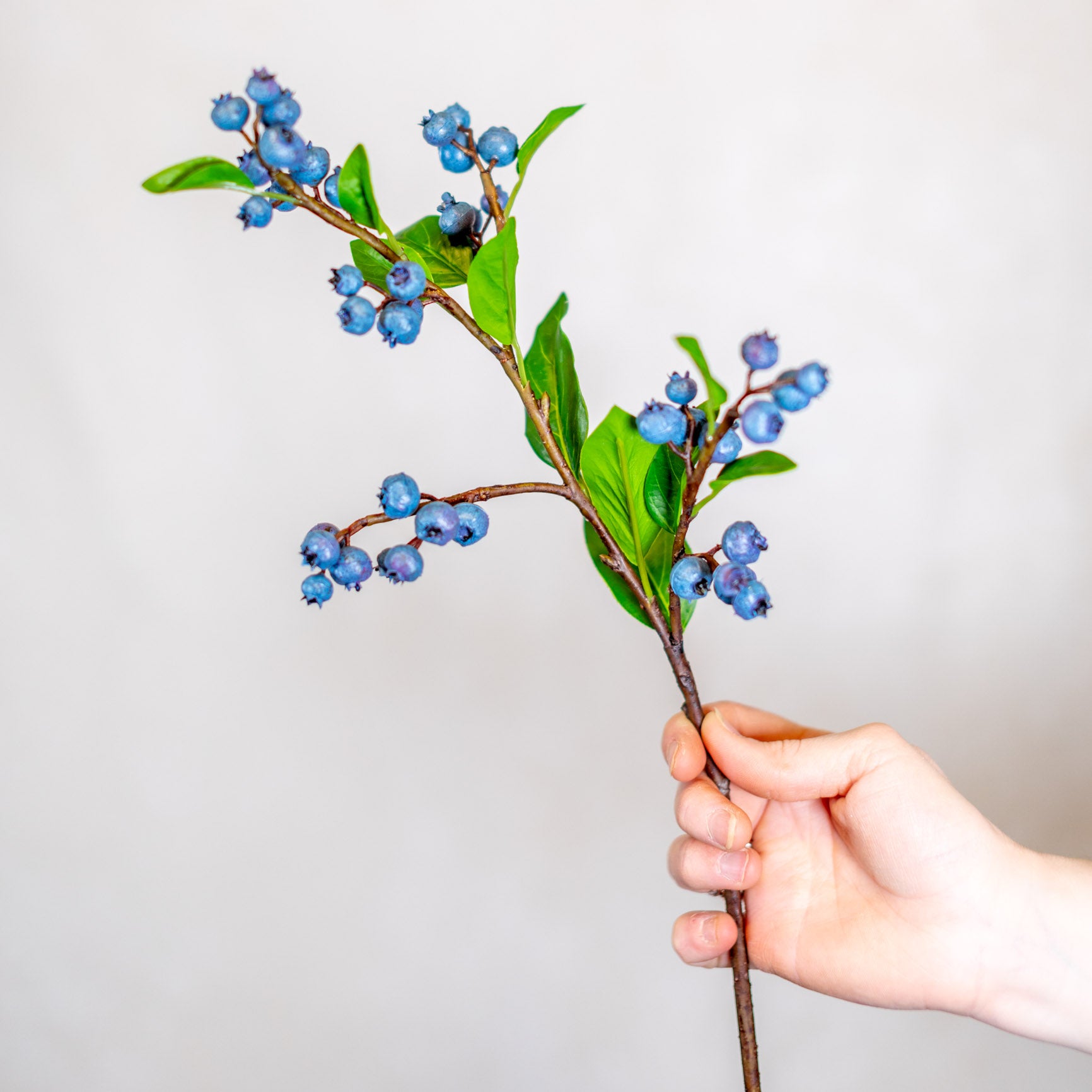 Blueberry Spray Stem