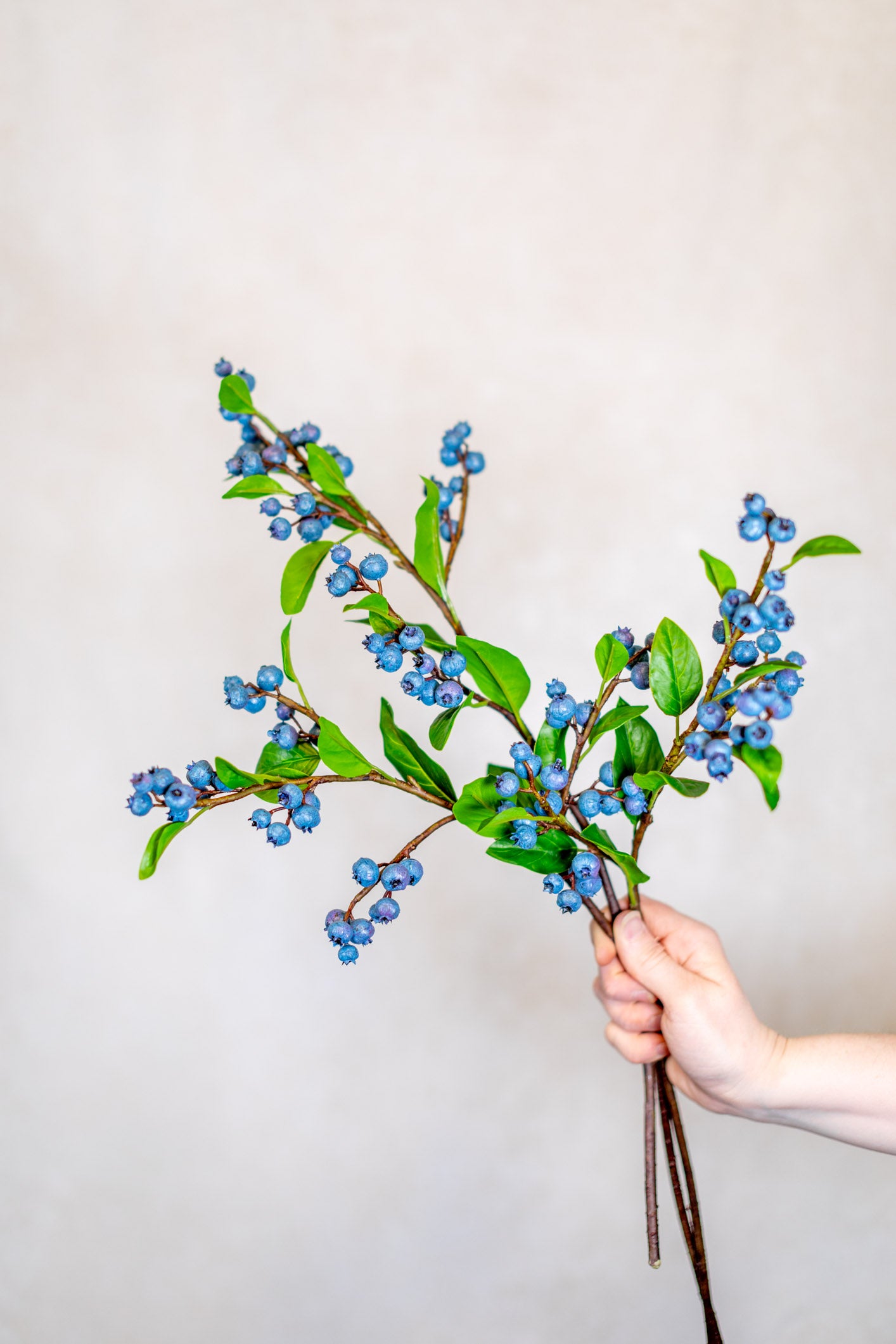 Blueberry Spray Stem