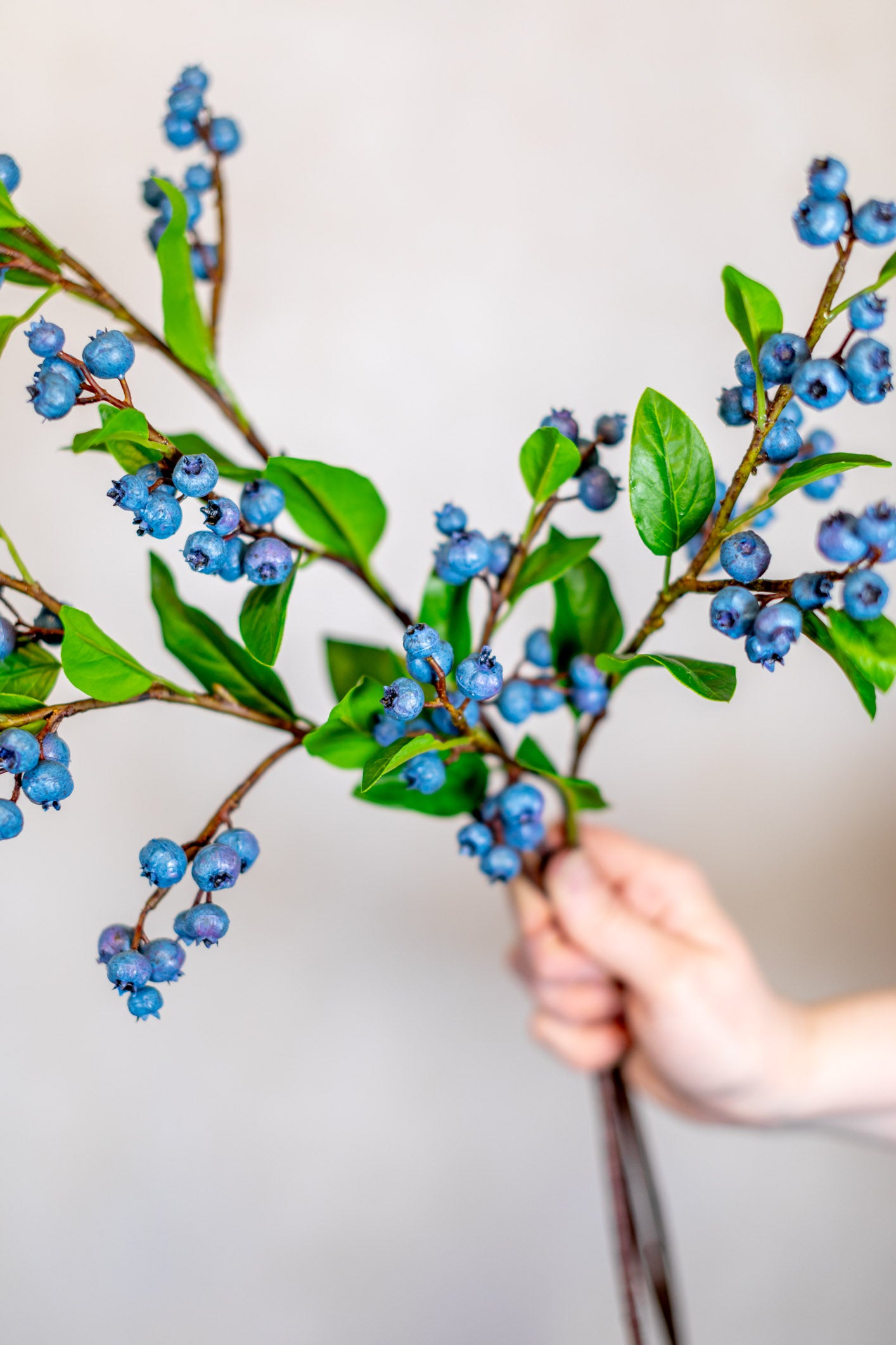 Blueberry Spray Stem