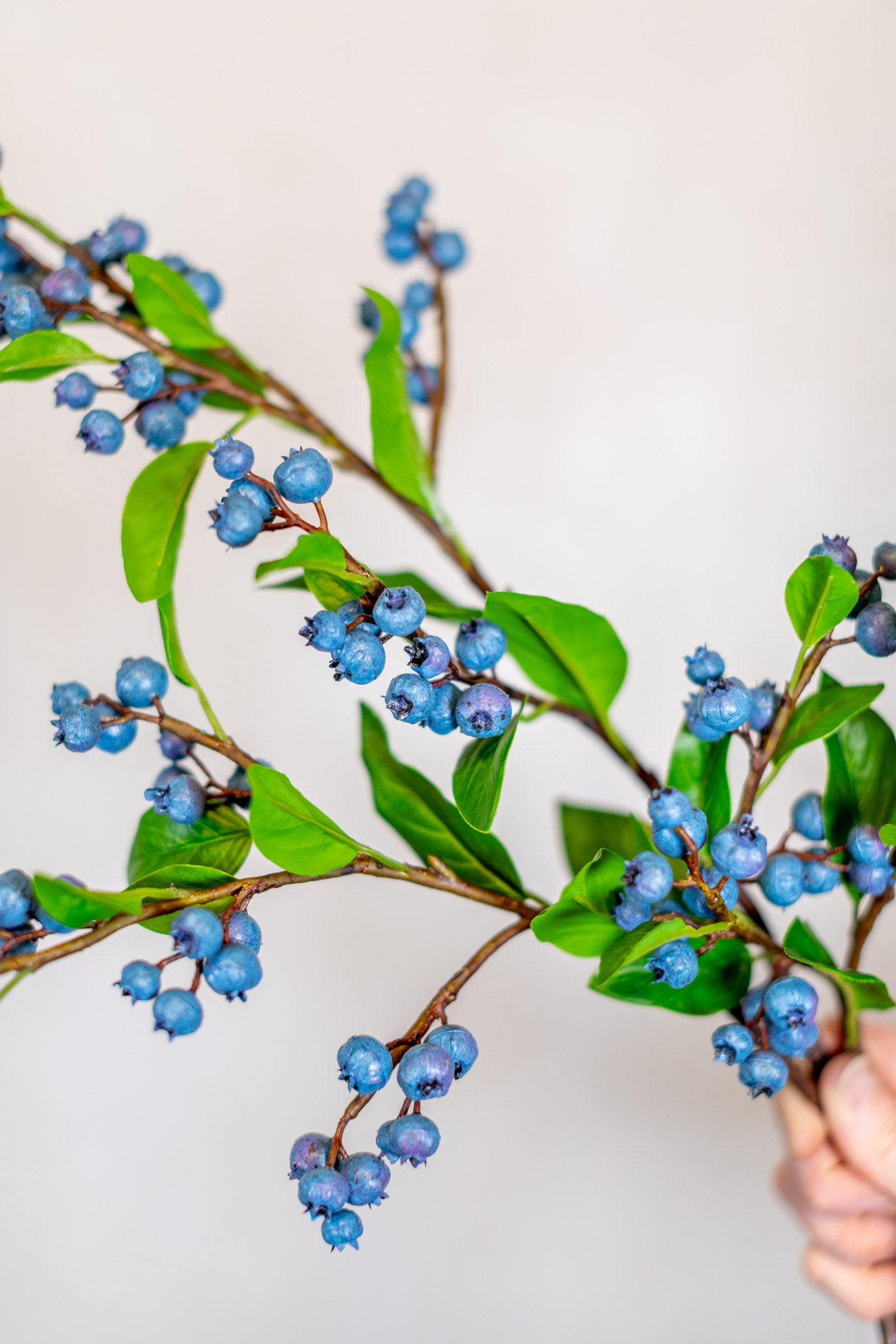 Blueberry Spray Stem