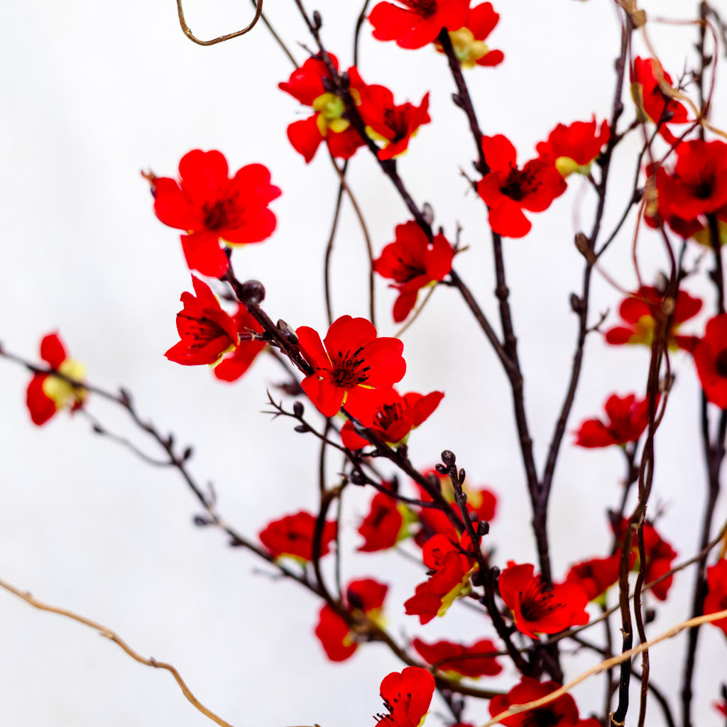 Branches and Red Blossoms Bouquet Drop In