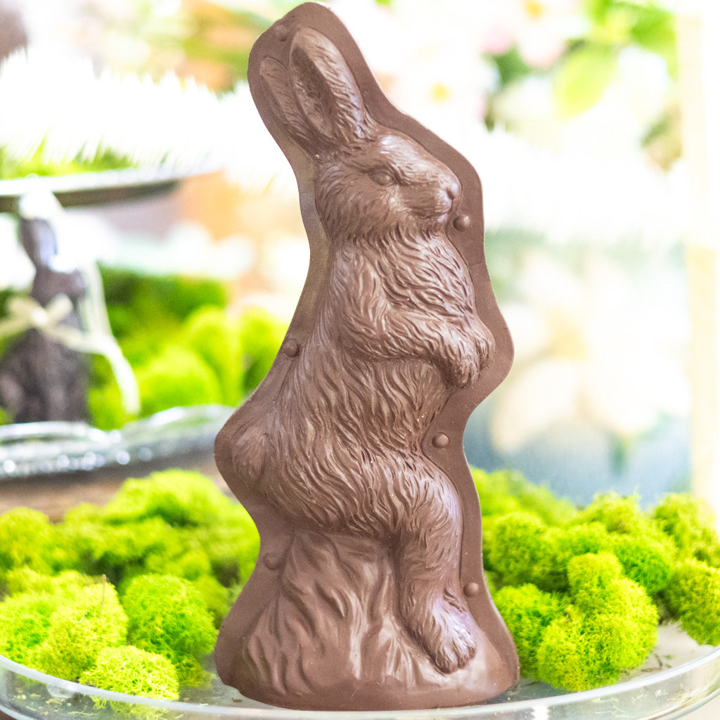 Resin Chocolate Mold Walking Bunny