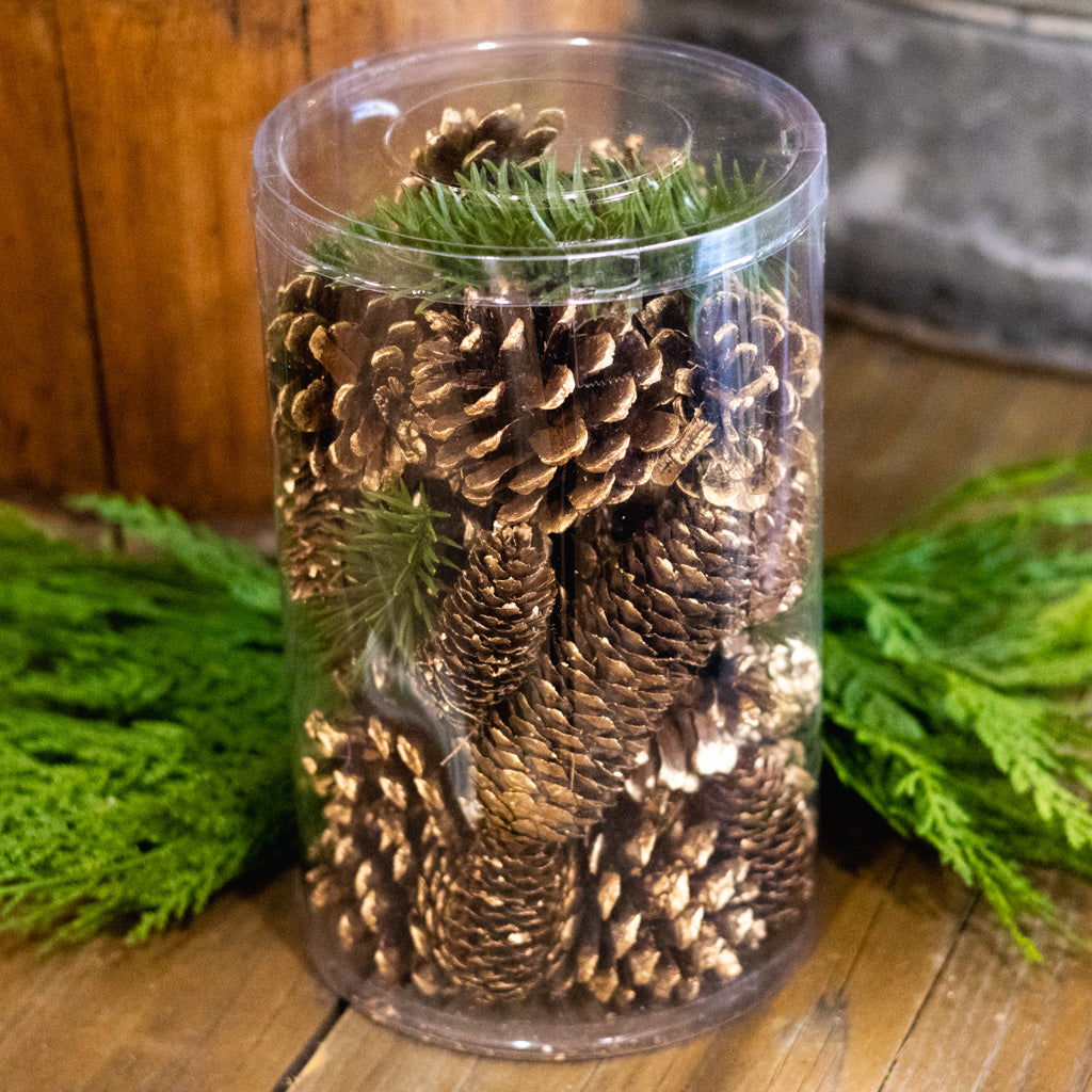 Cylinder of Assorted Gold Tipped Pinecones & Pine Sprigs