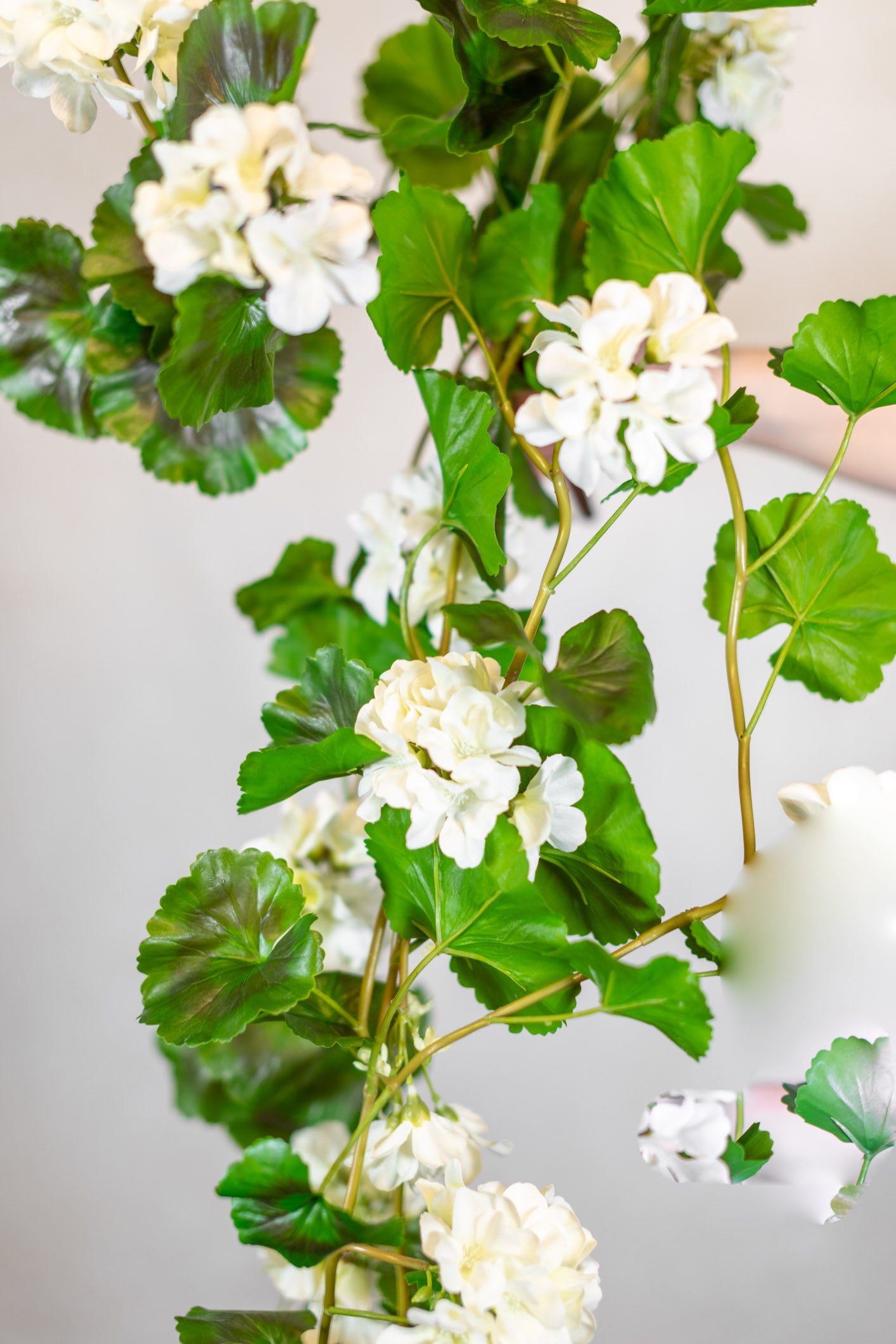 Natural Touch Summer Hanging White Geranium Plant UV