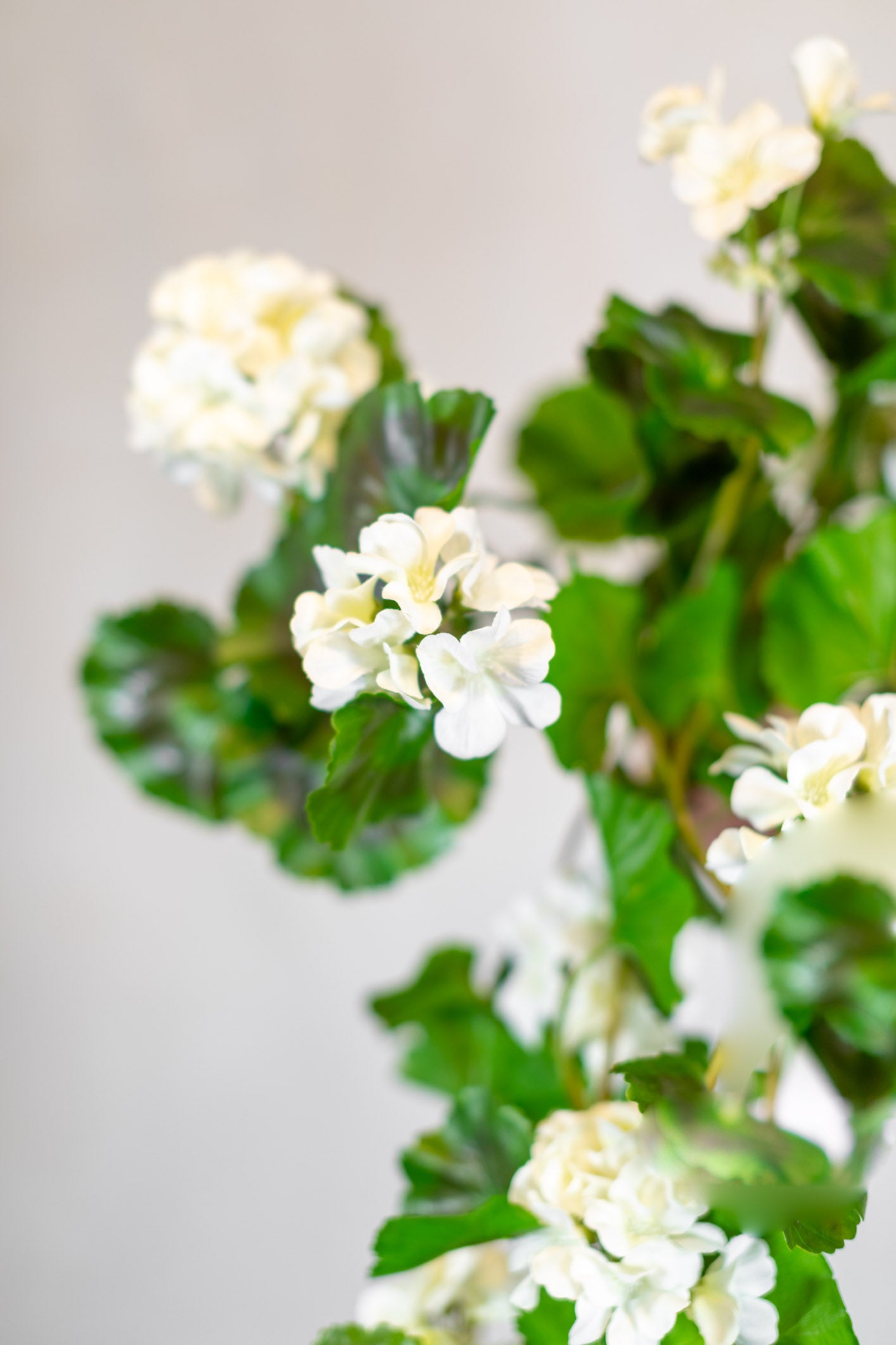 Natural Touch Summer Hanging White Geranium Plant UV