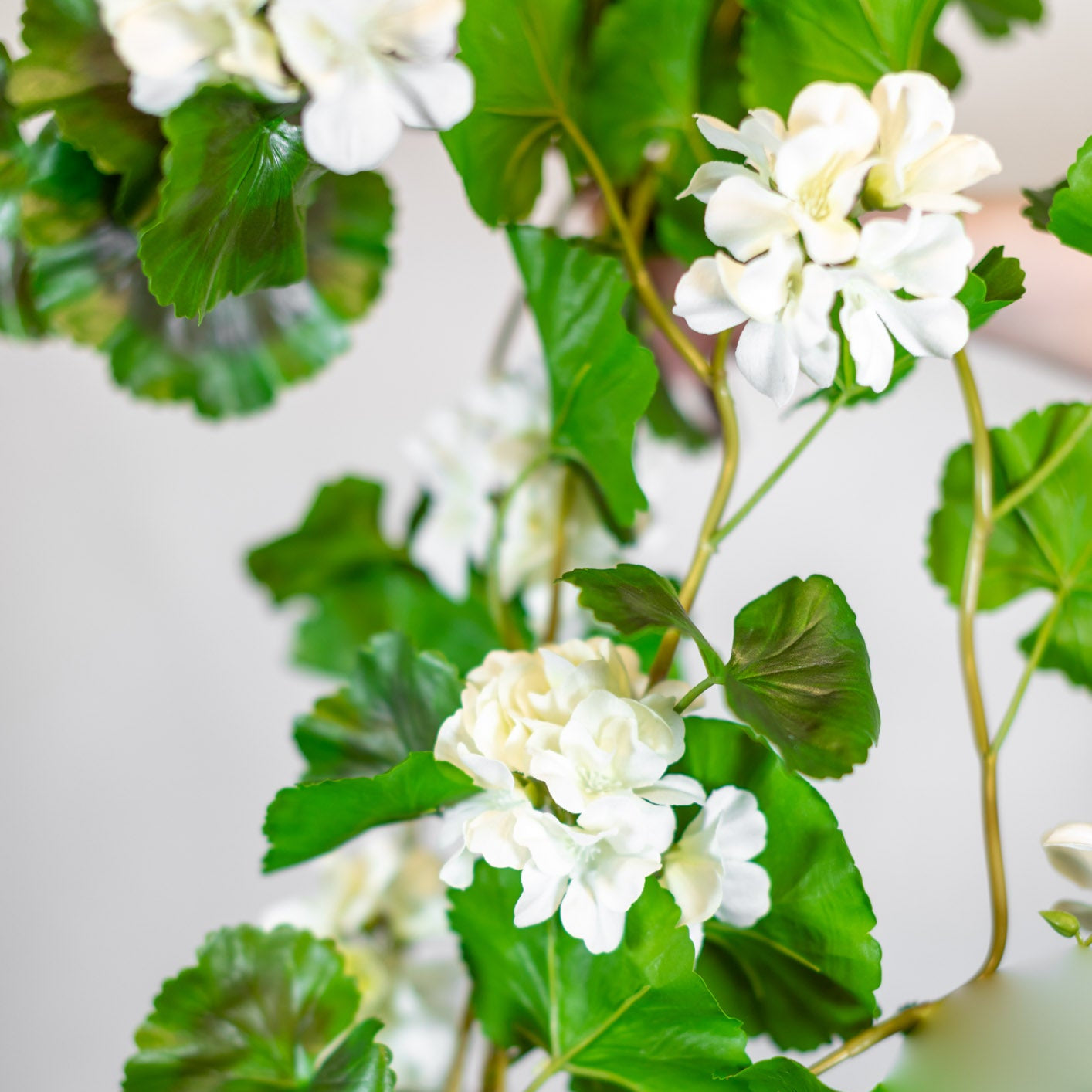 Natural Touch Summer Hanging White Geranium Plant UV